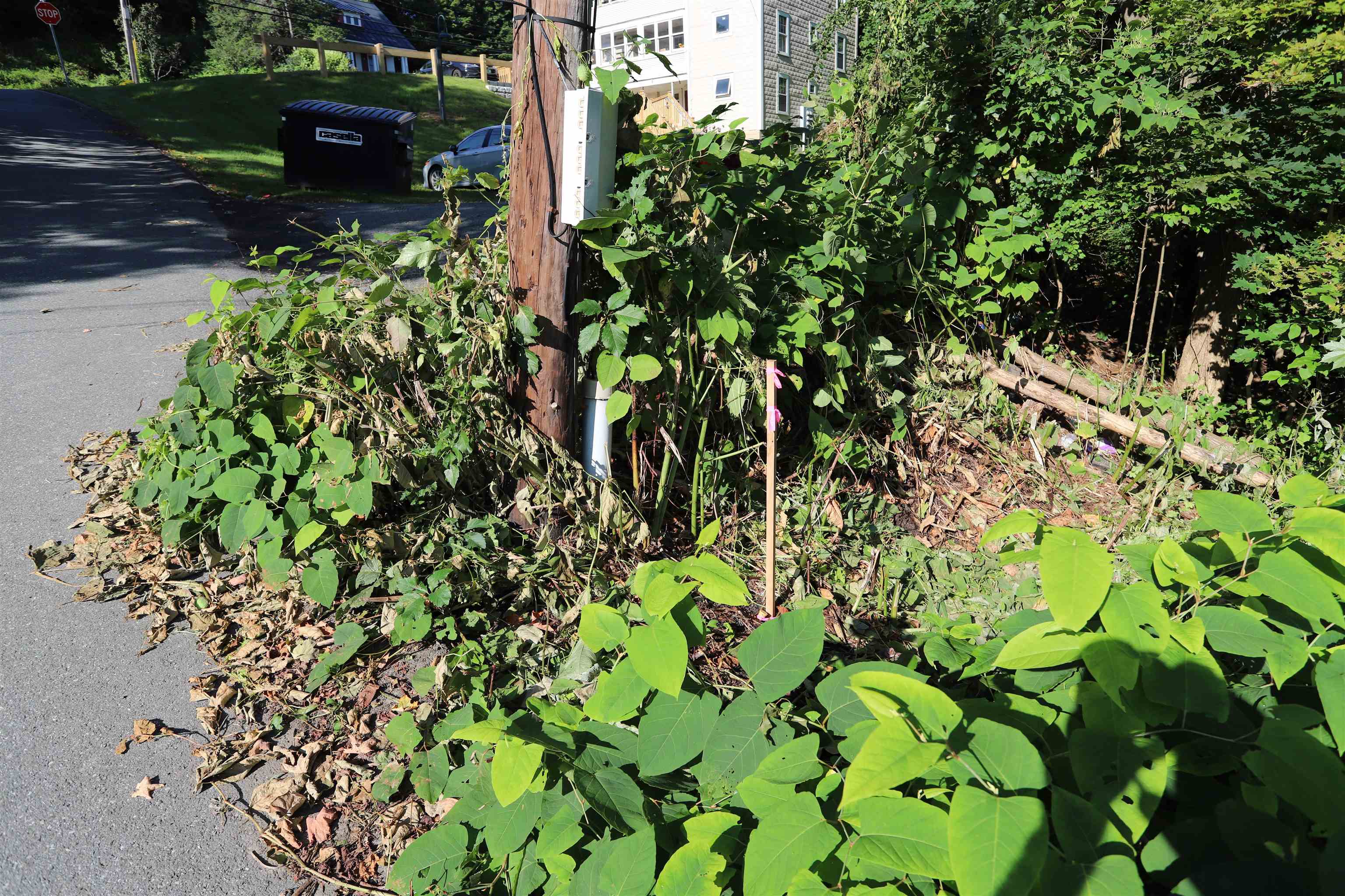 0 West End Avenue Property Photo 7