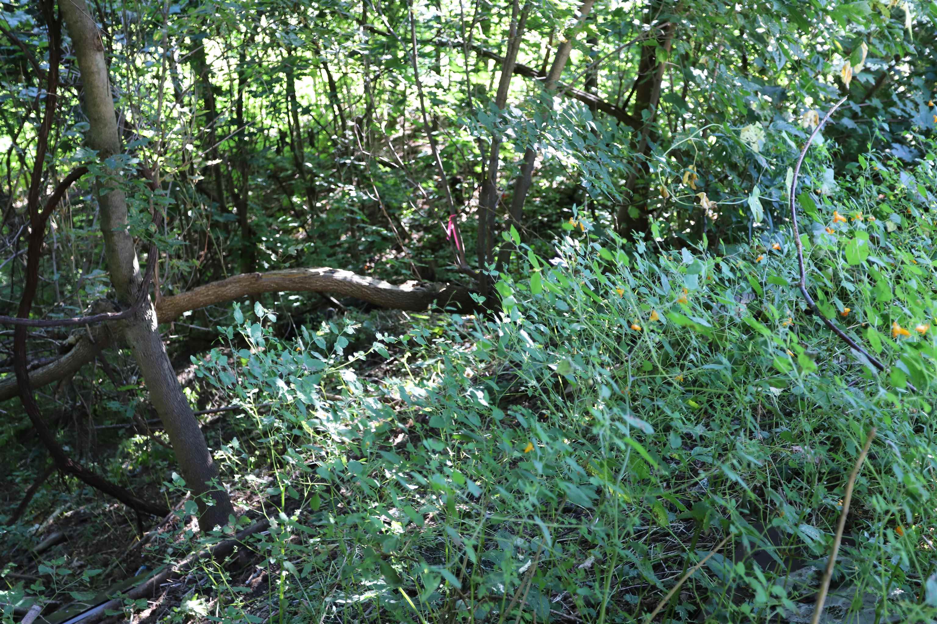 0 West End Avenue Property Photo 11