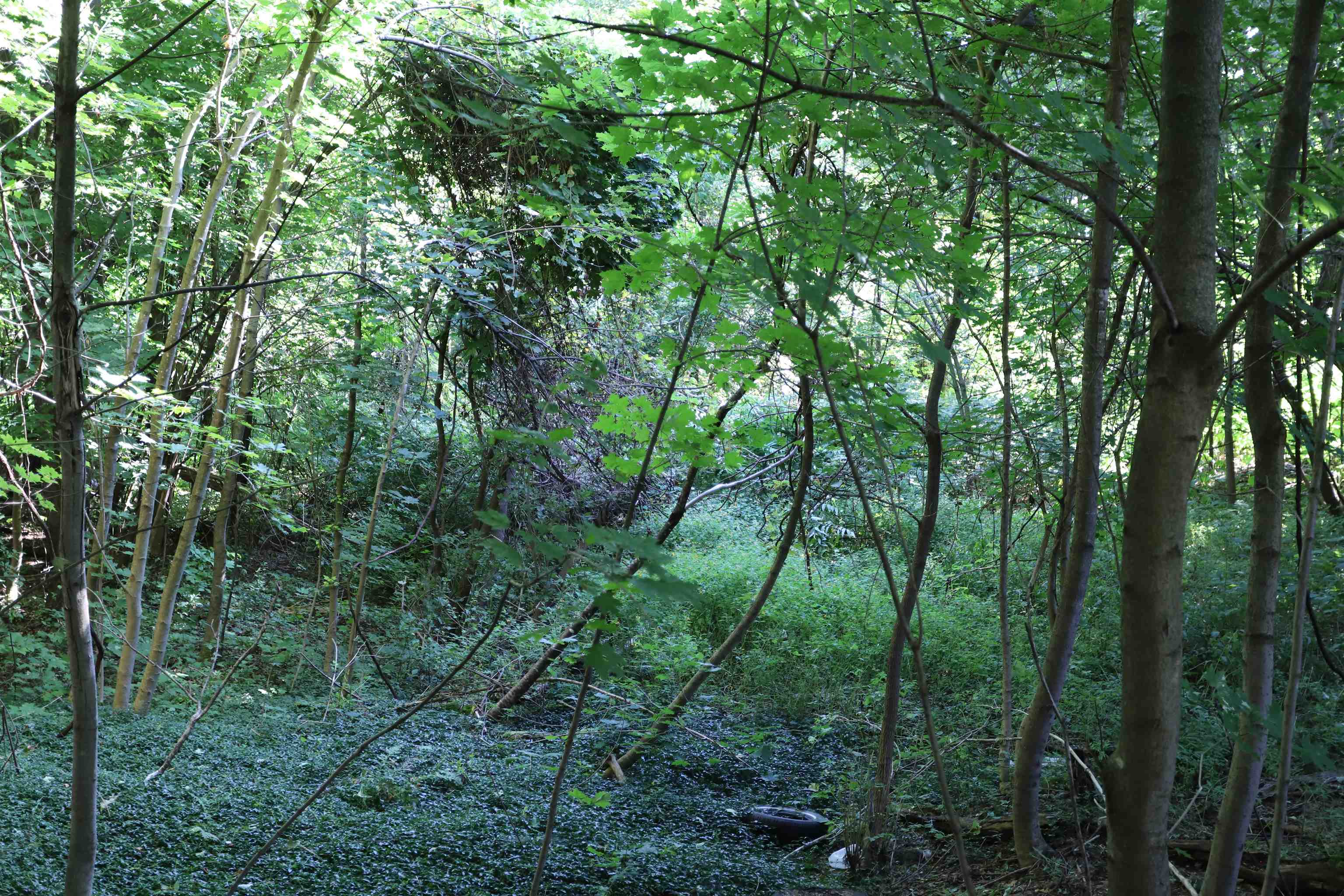 0 West End Avenue Property Photo 13