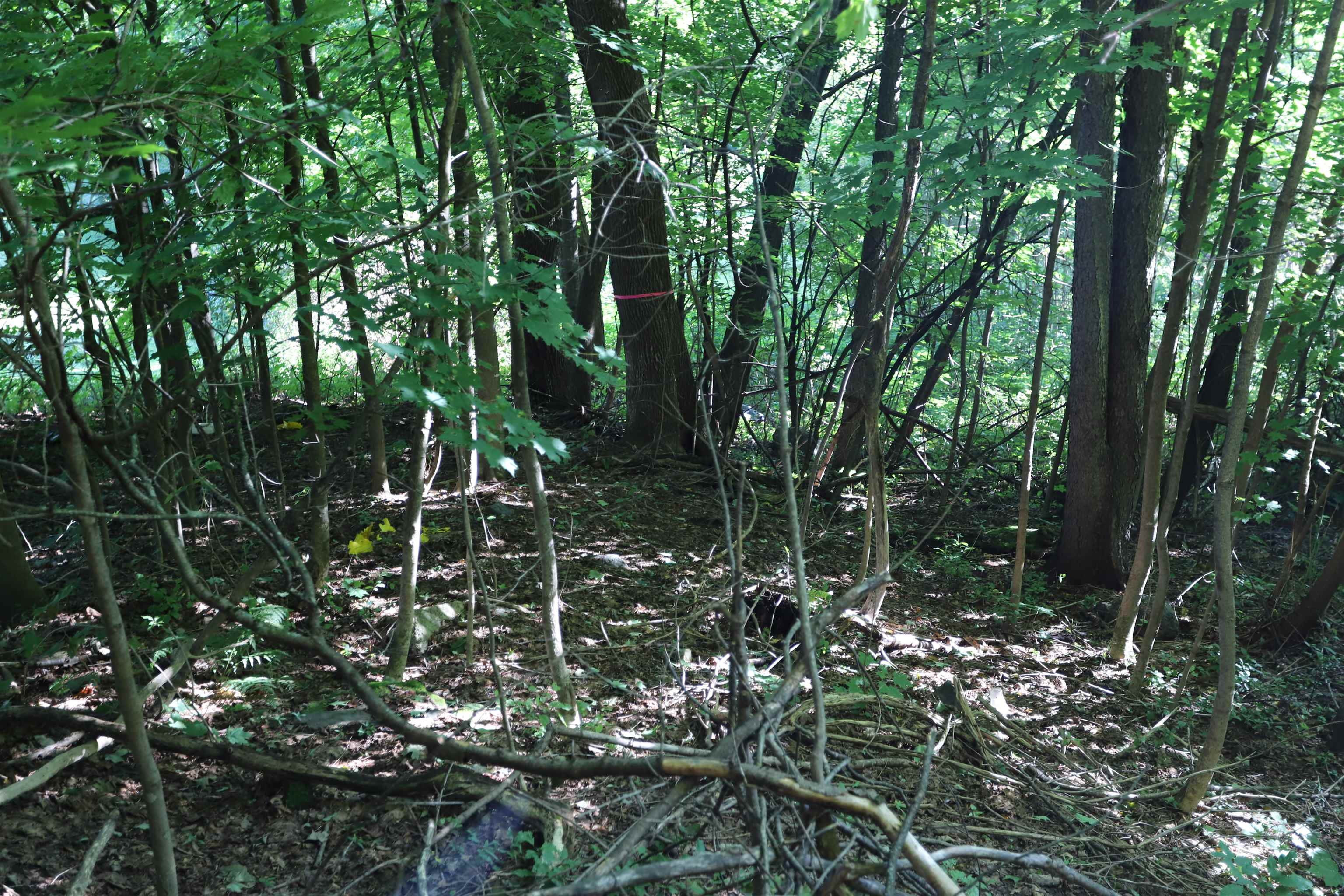 0 West End Avenue Property Photo 14