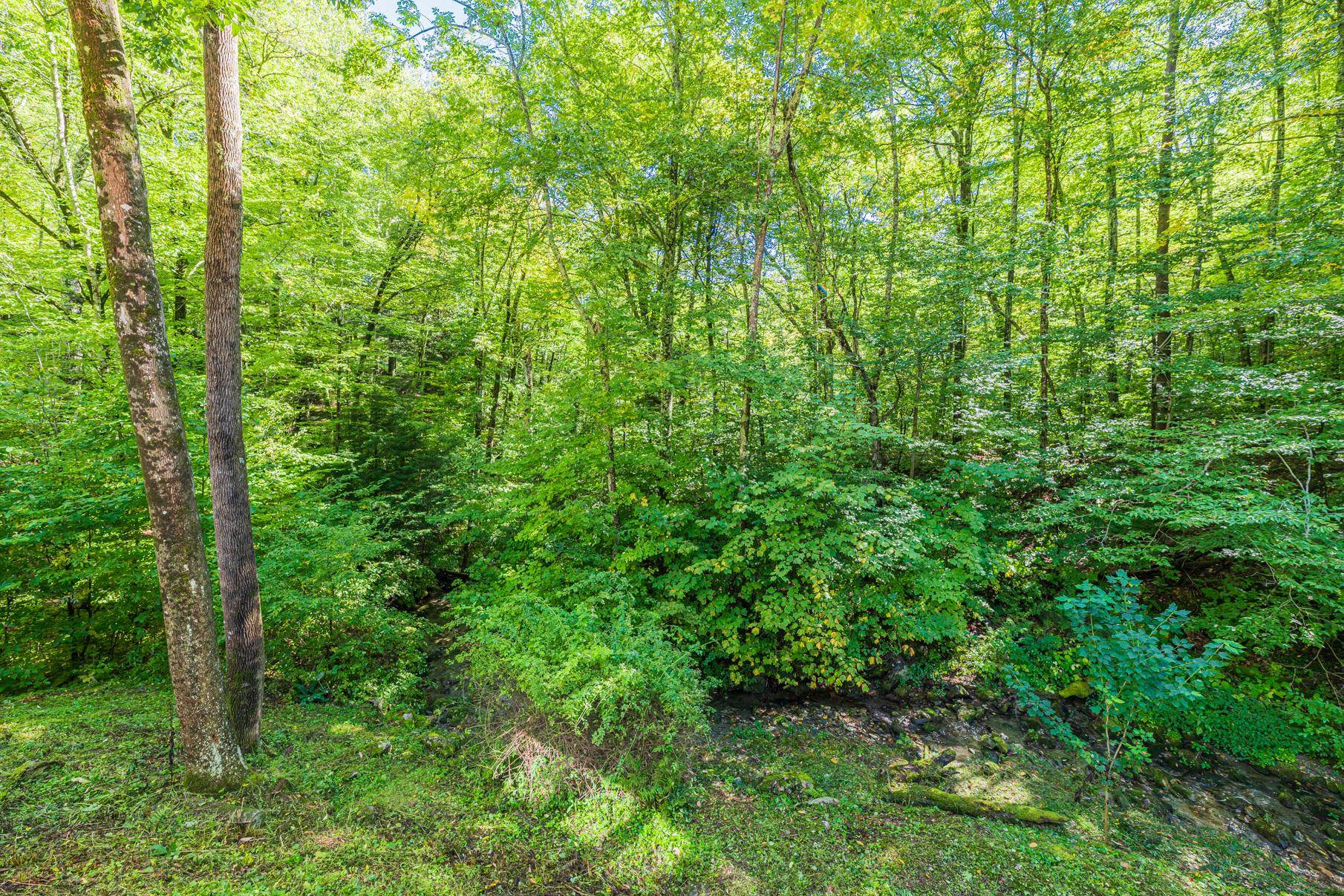 505 Benedict Hollow Road Property Photo 19