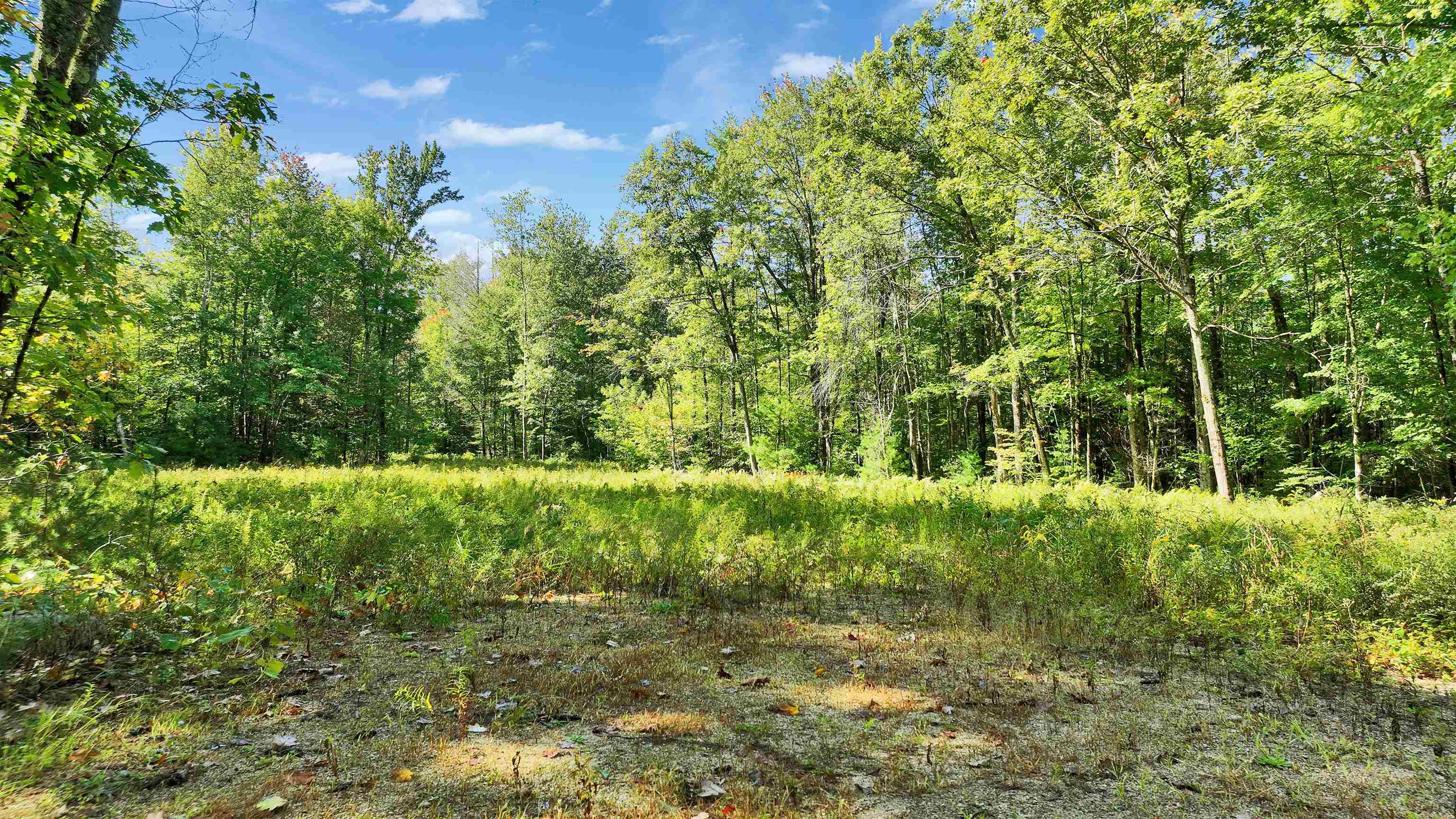 000 Old Bennington Road Property Photo 10