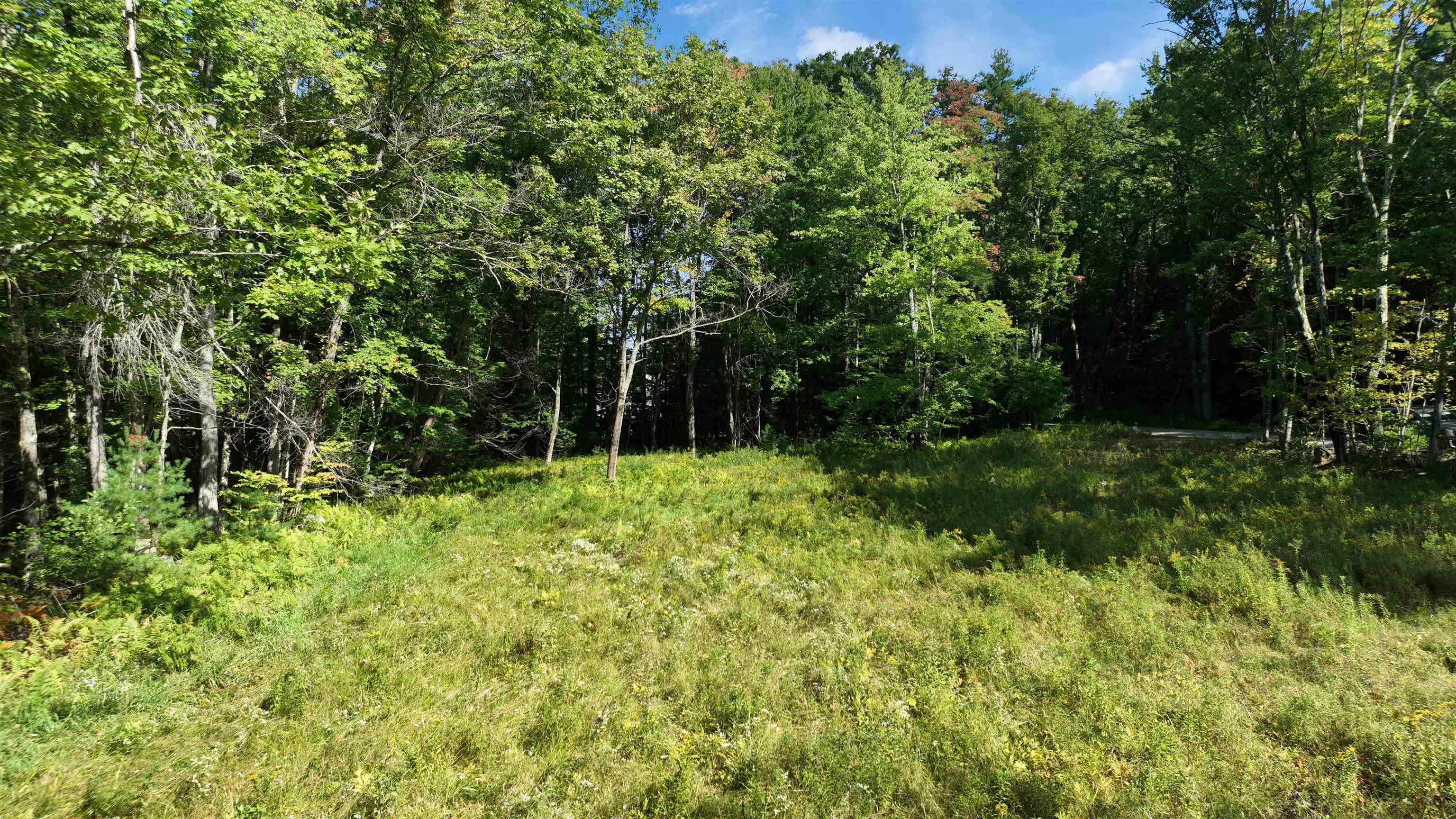 000 Old Bennington Road Property Photo 13