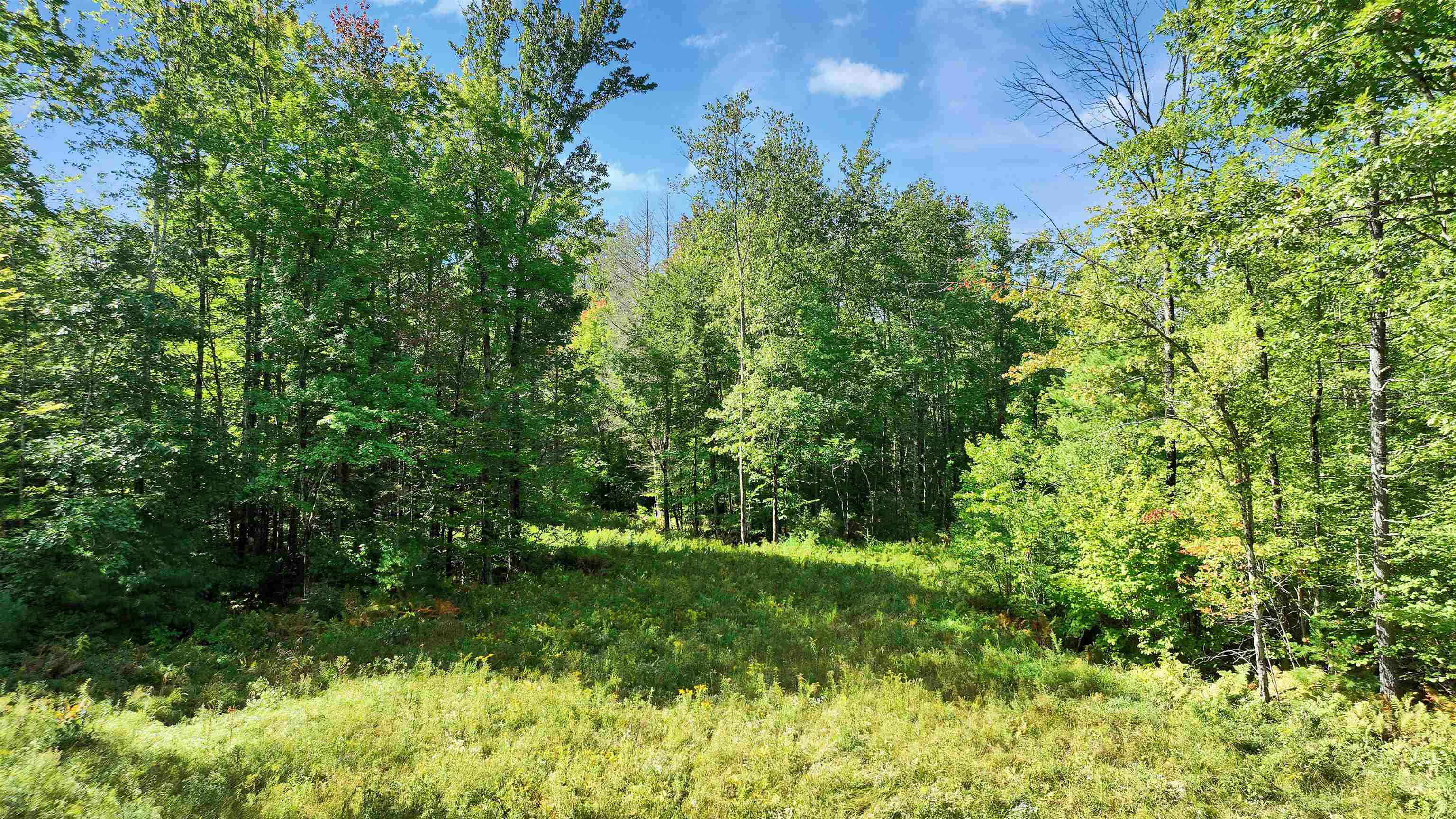 000 Old Bennington Road Property Photo 14