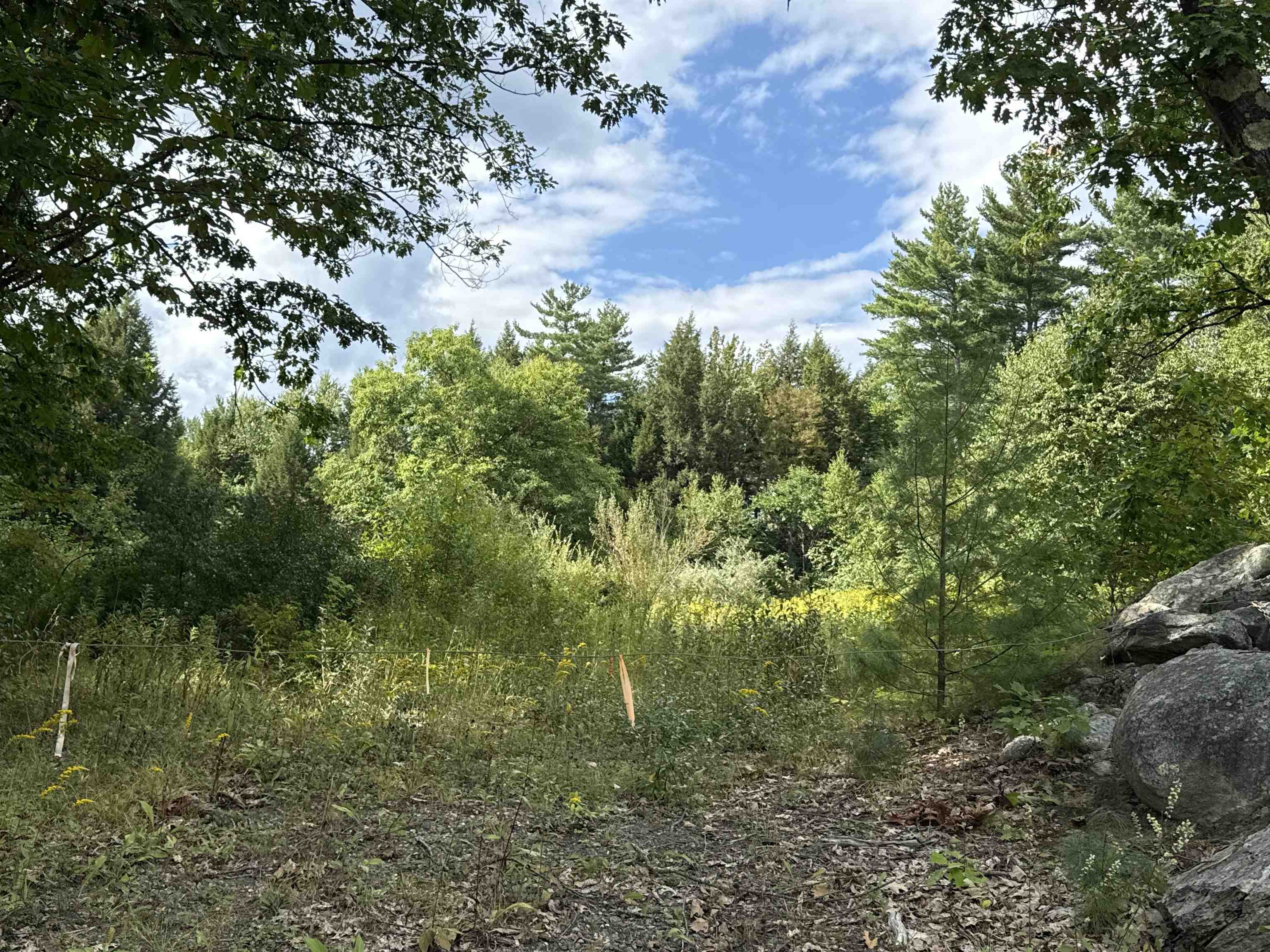 1475 Brockways Mill Road Property Photo 4