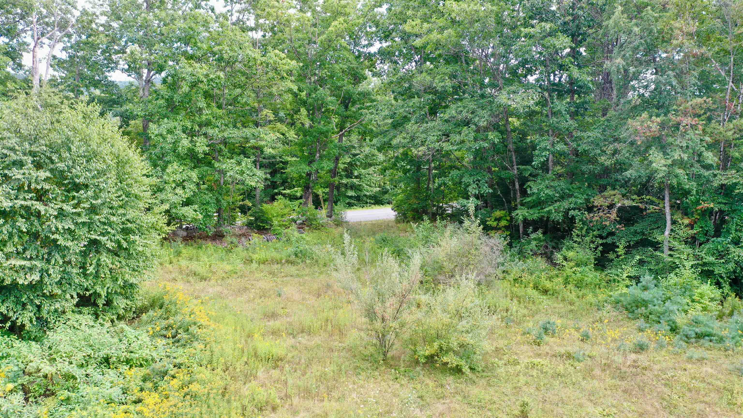 1475 Brockways Mill Road Property Photo 5