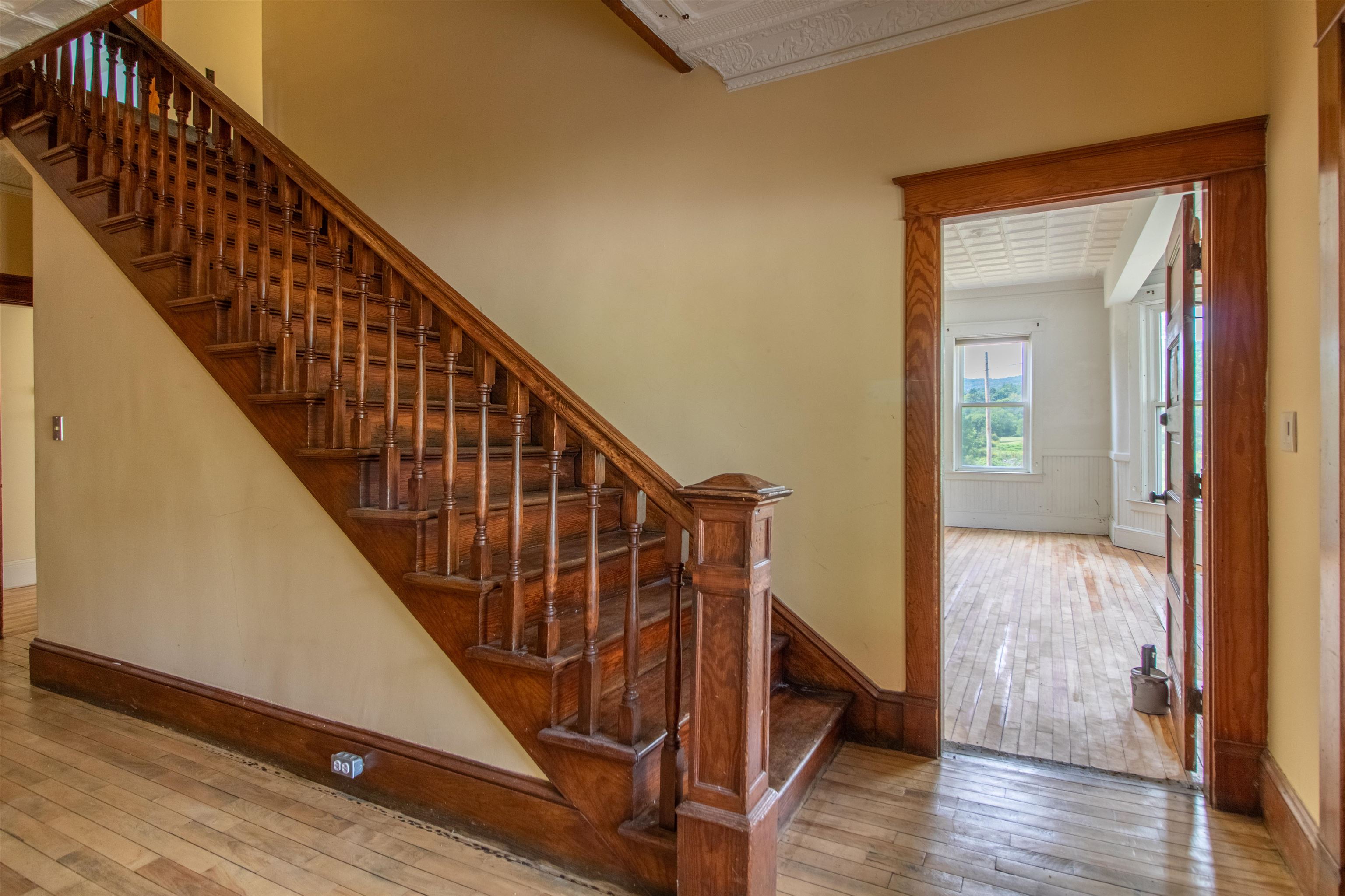 286 Carter Street Property Photo 19