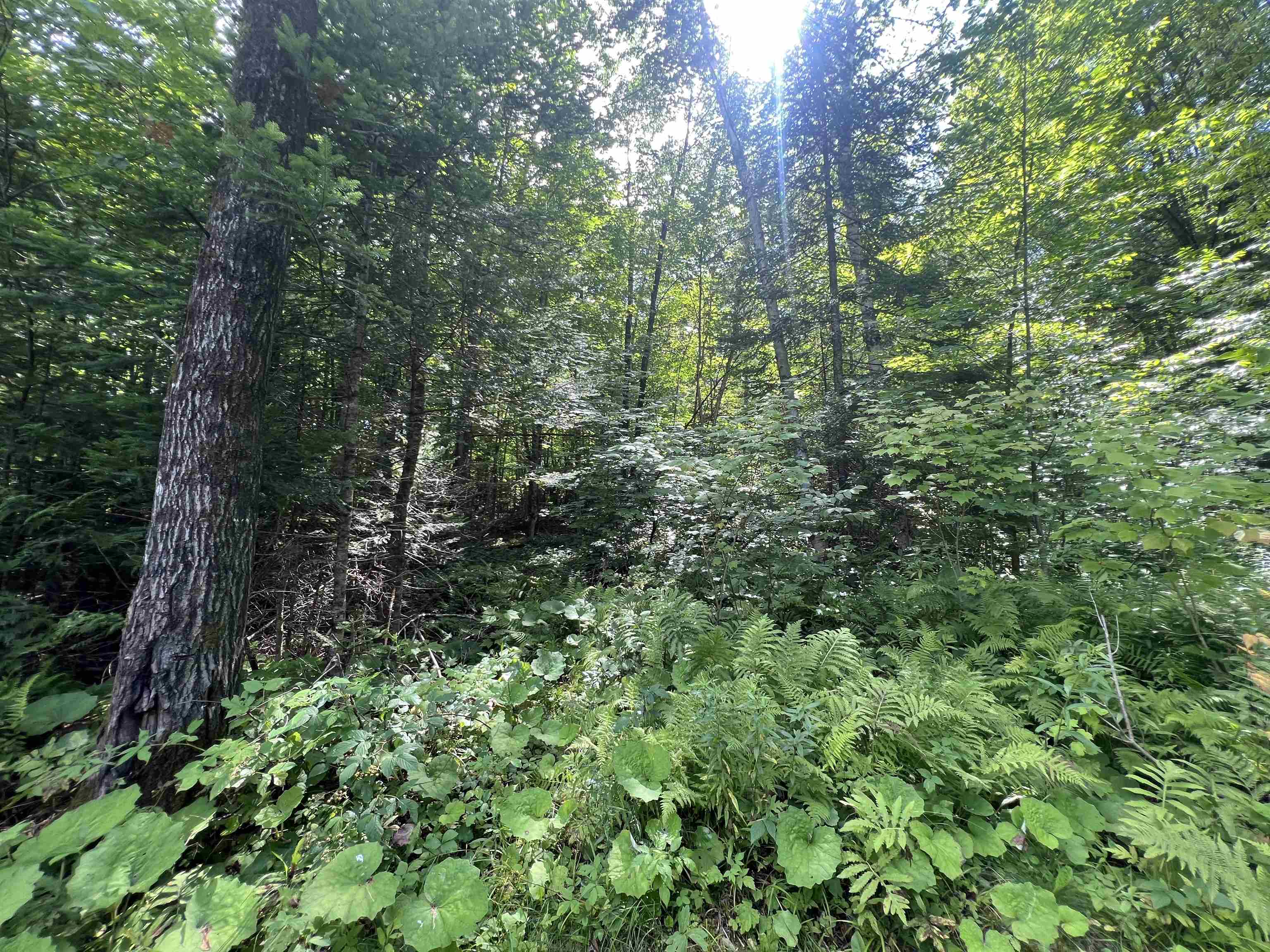 4121 Old Duck Pond Road Property Photo 20