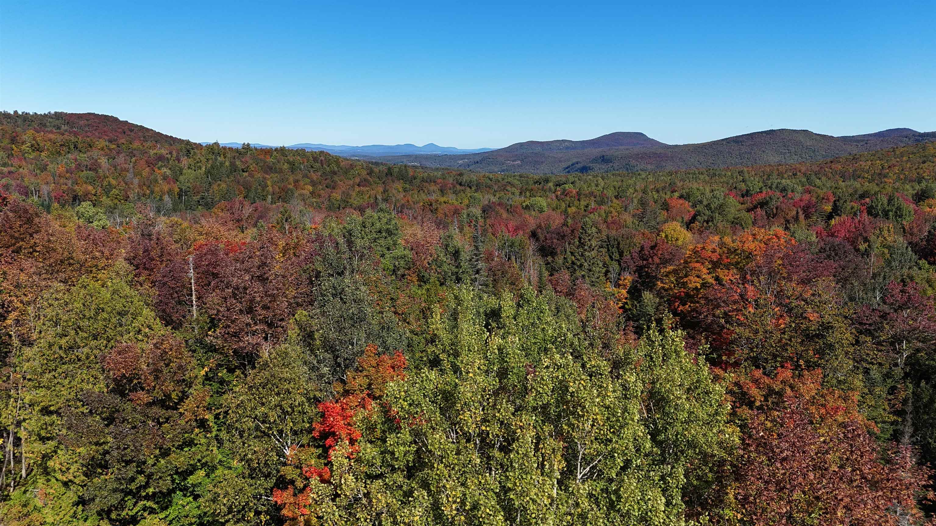 4121 Old Duck Pond Road Property Photo 24