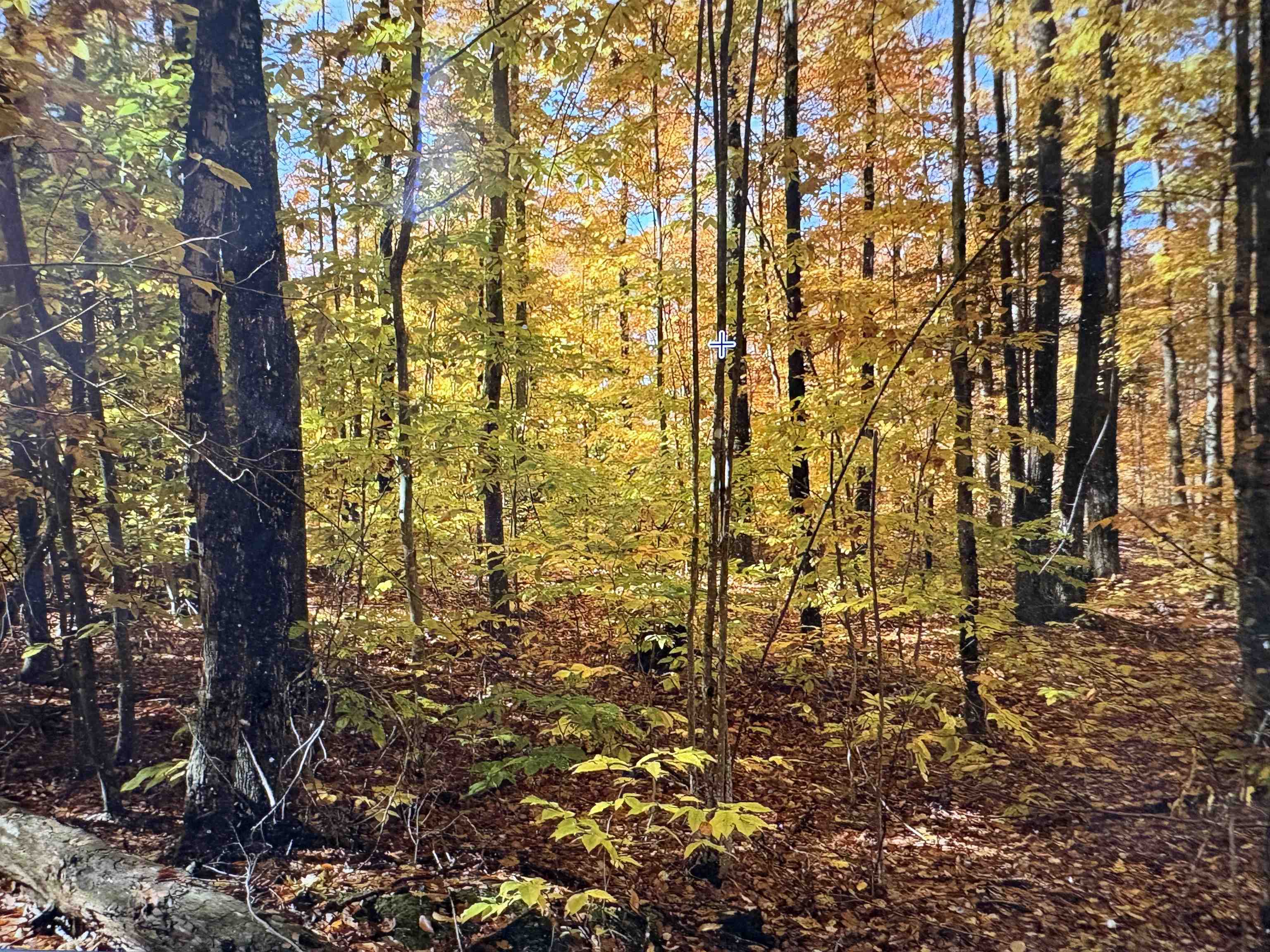 5 Squam River Landing Property Photo 6