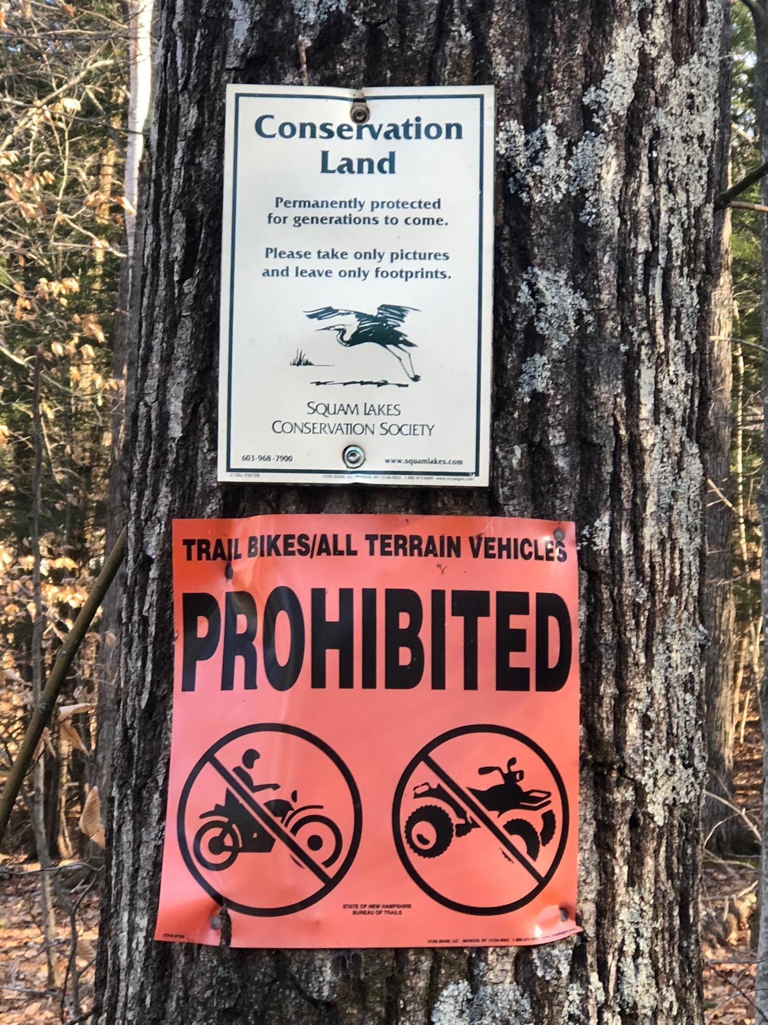 5 Squam River Landing Property Photo 8