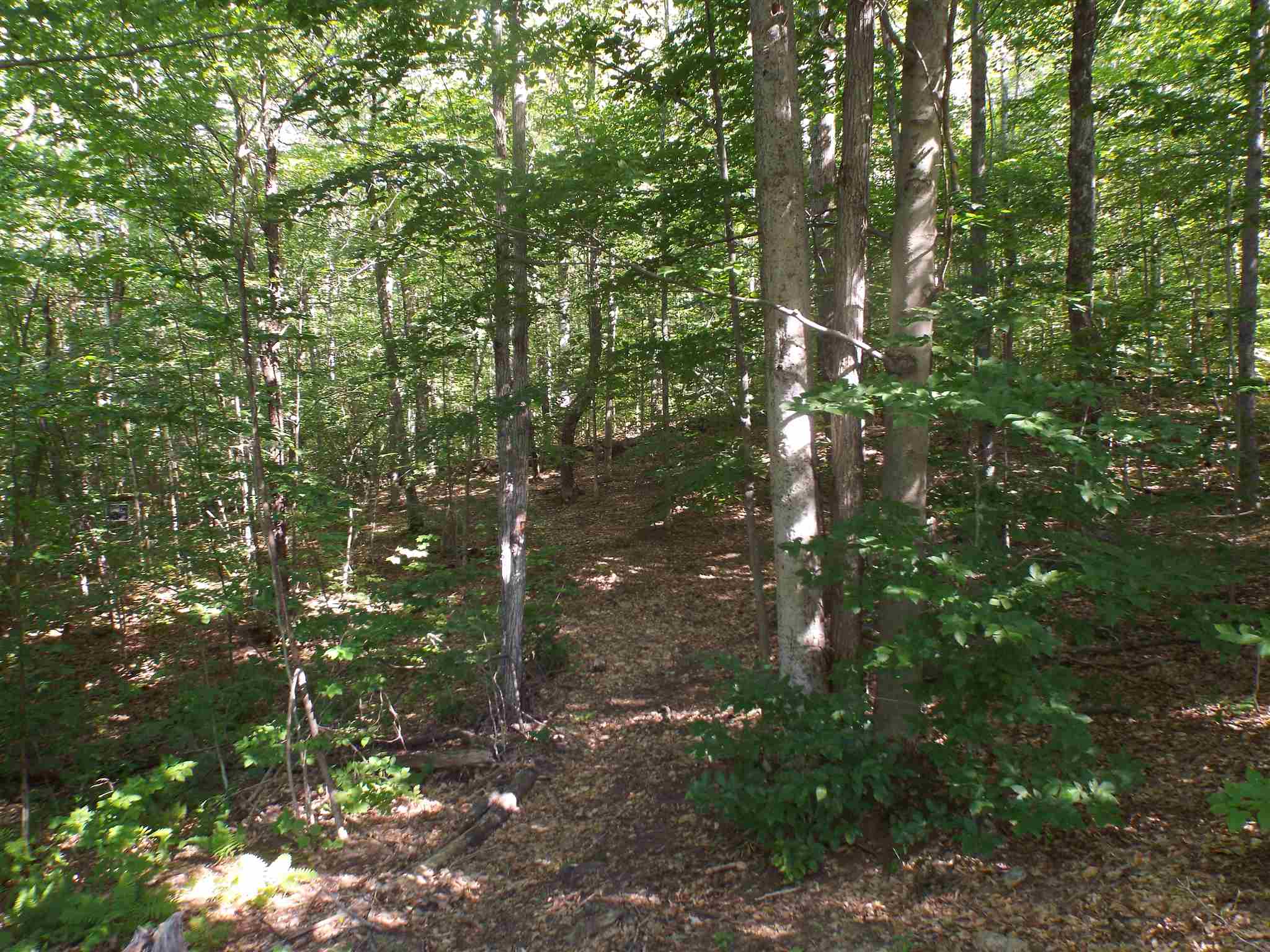 5 Squam River Landing Property Photo 9