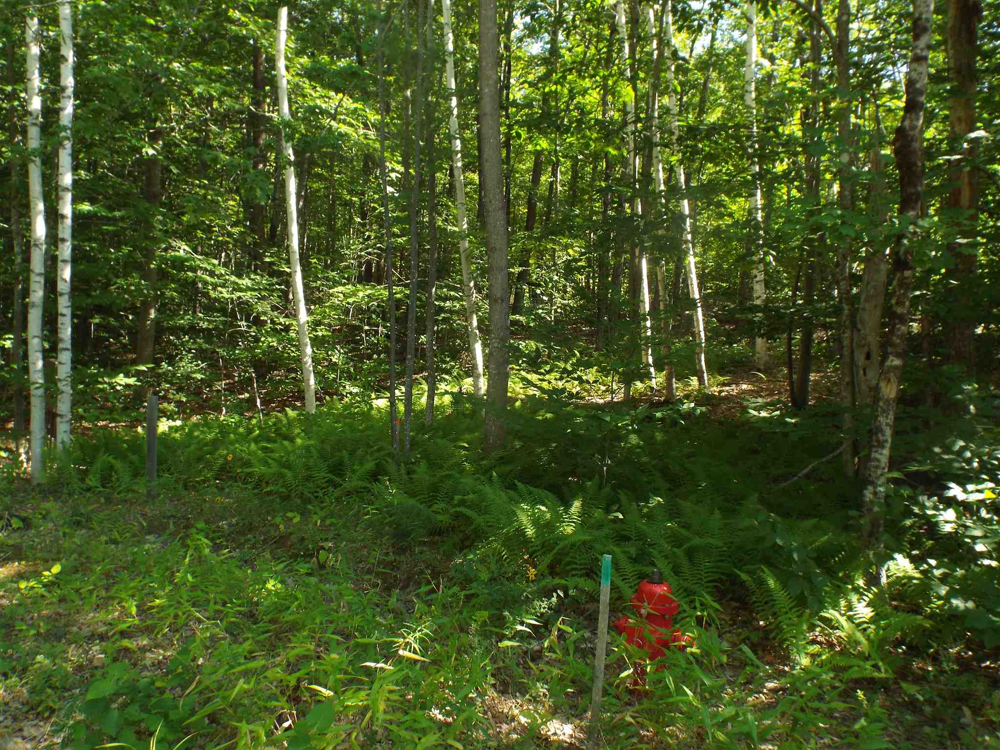 5 Squam River Landing Property Photo 11