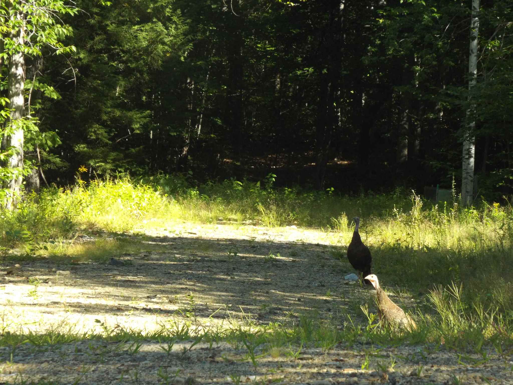 5 Squam River Landing Property Photo 14