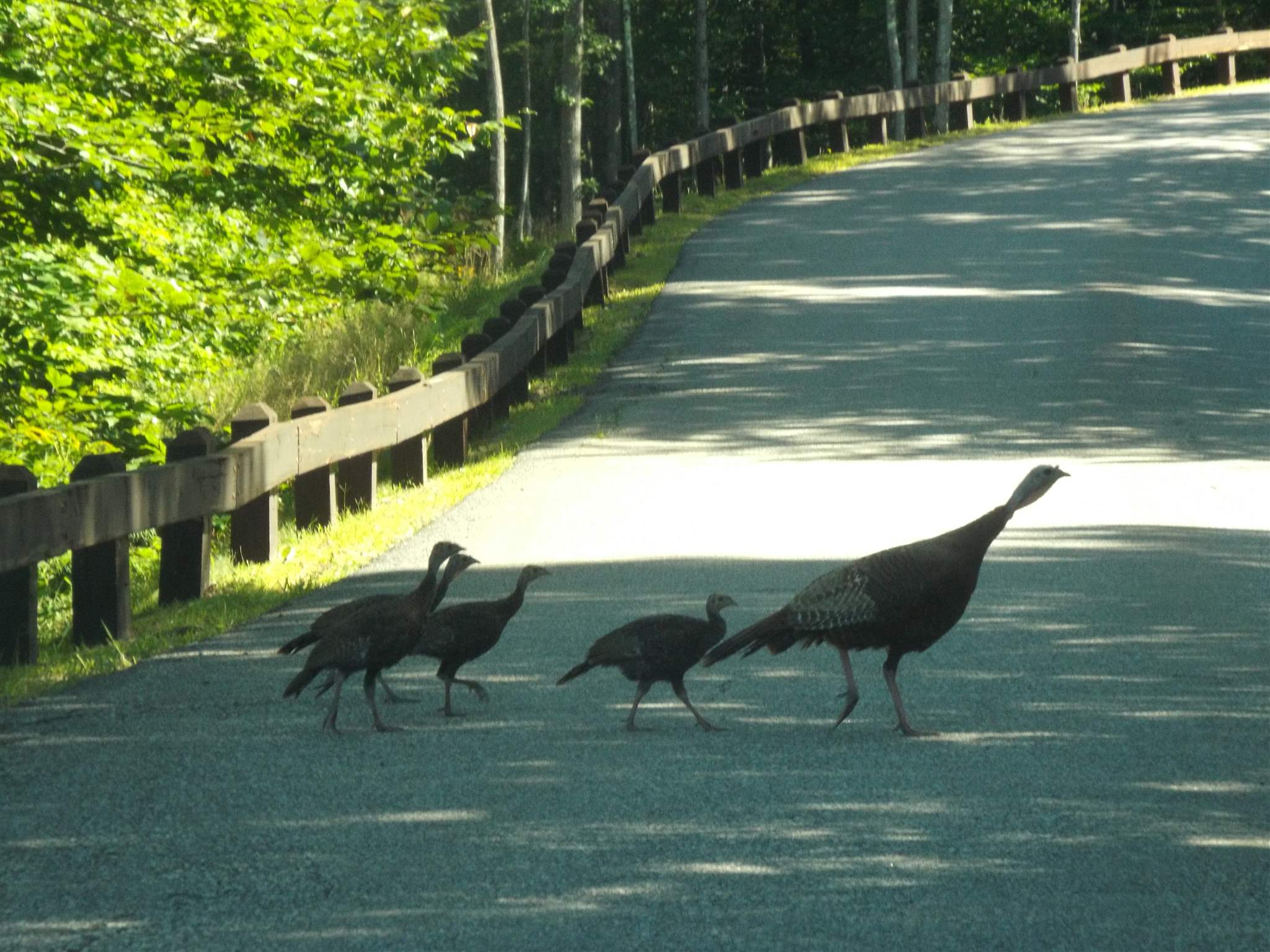 5 Squam River Landing Property Photo 15