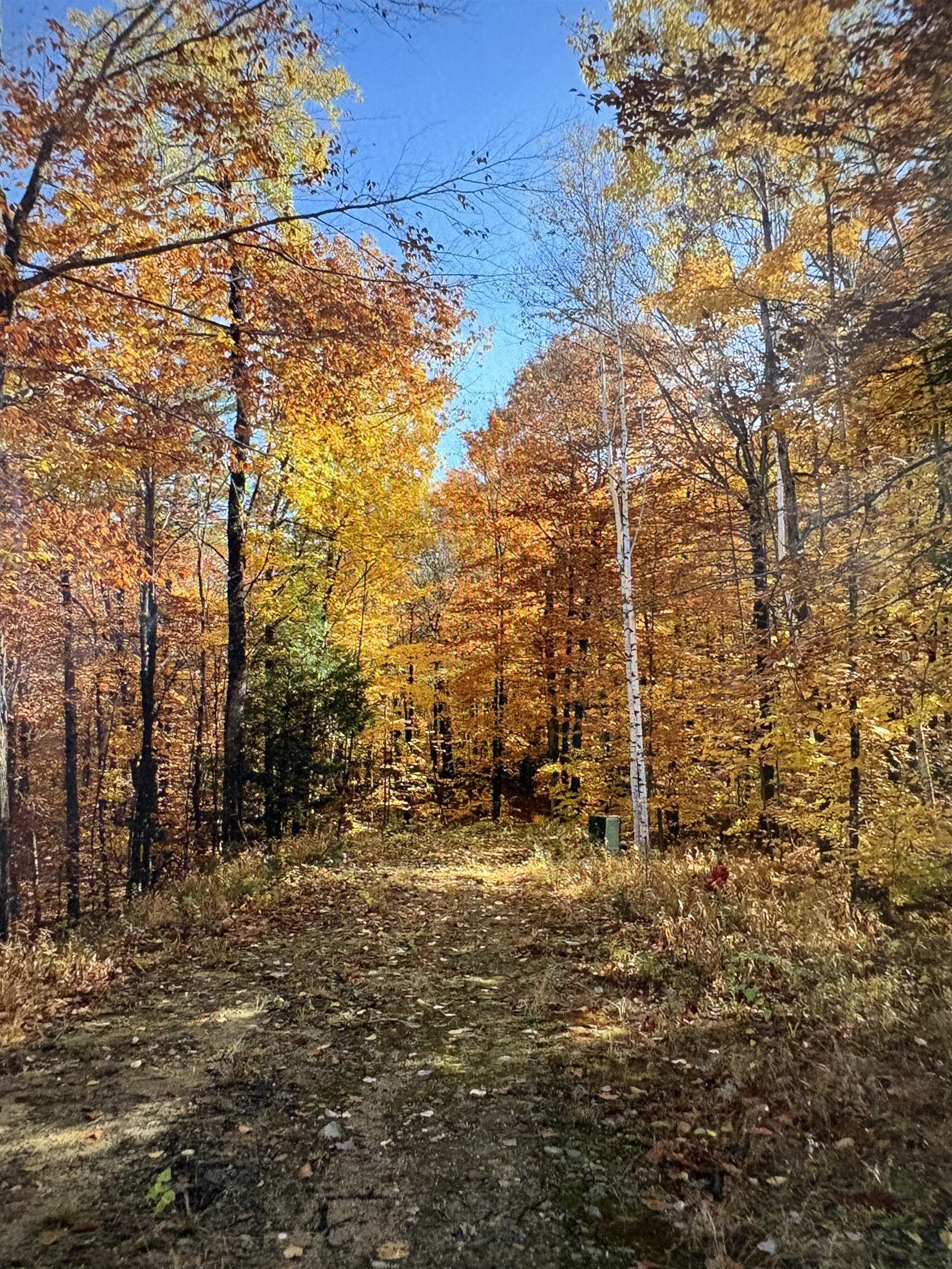 5 Squam River Landing Property Photo 21