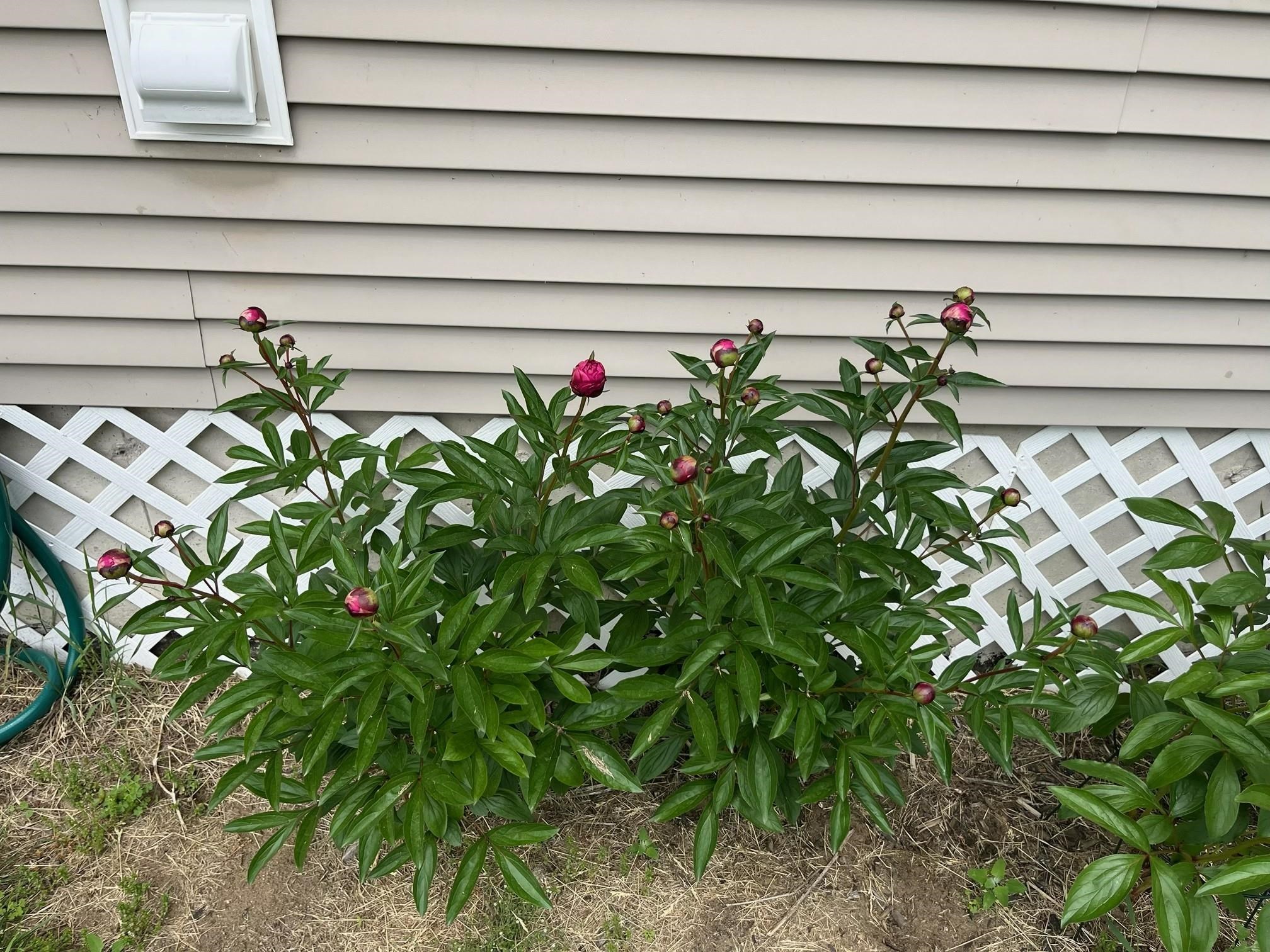 202 Railroad Street Property Photo 49