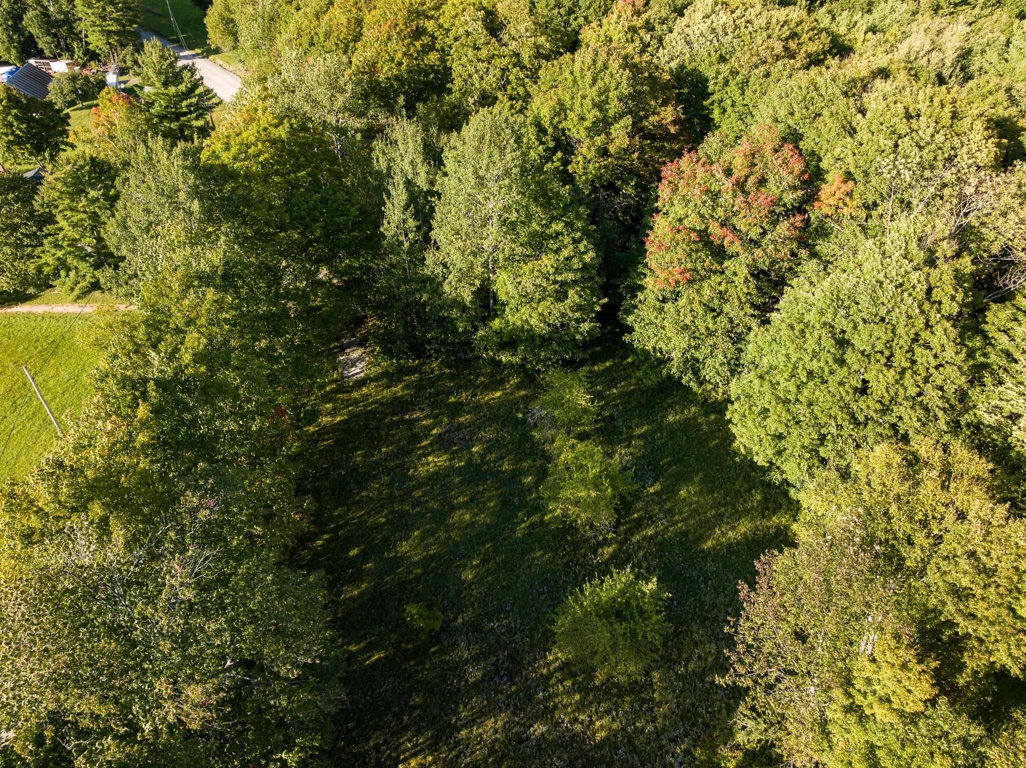 365 Tower Road Property Photo 16
