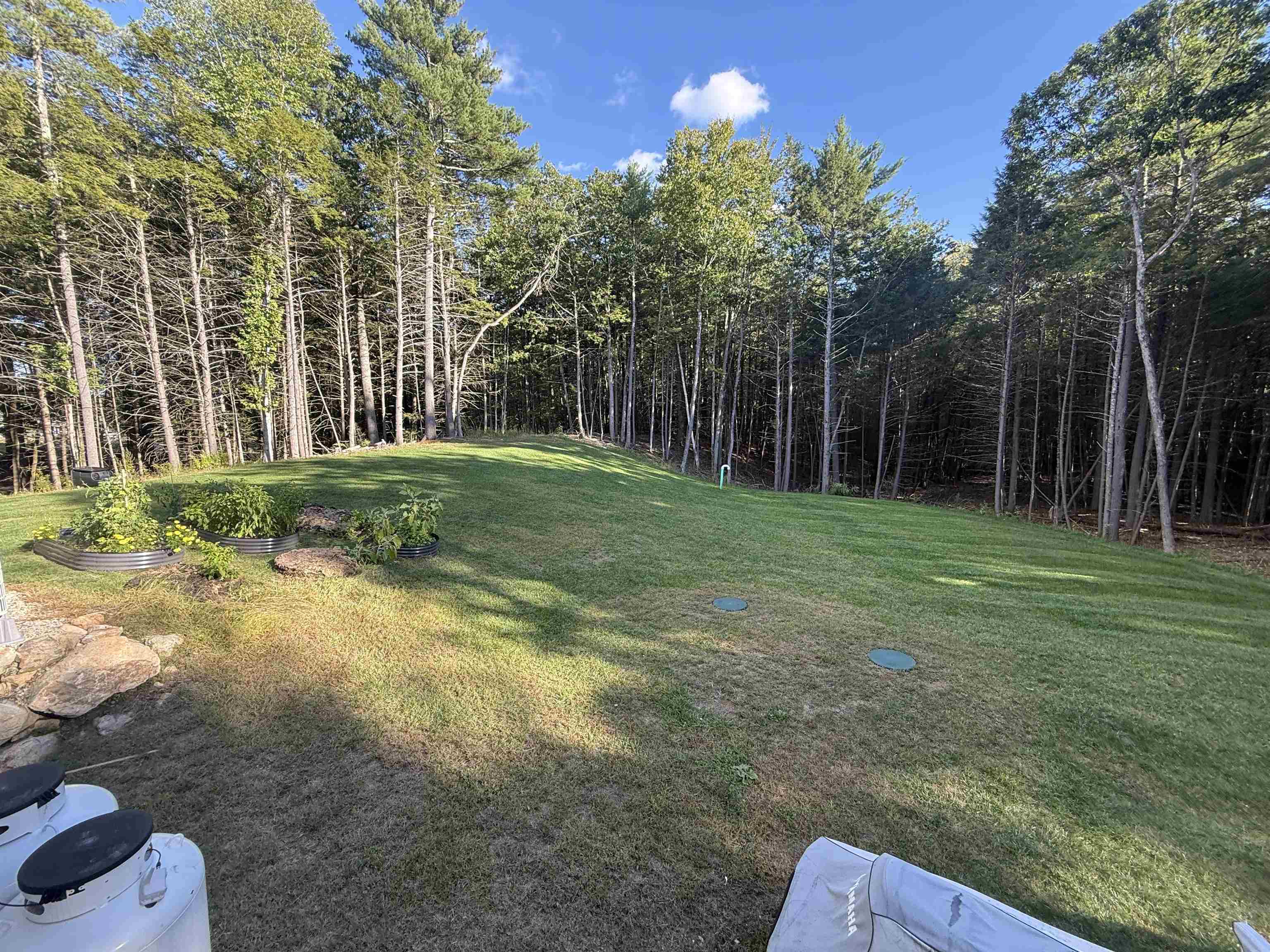 91b Kennard Road Property Photo 18