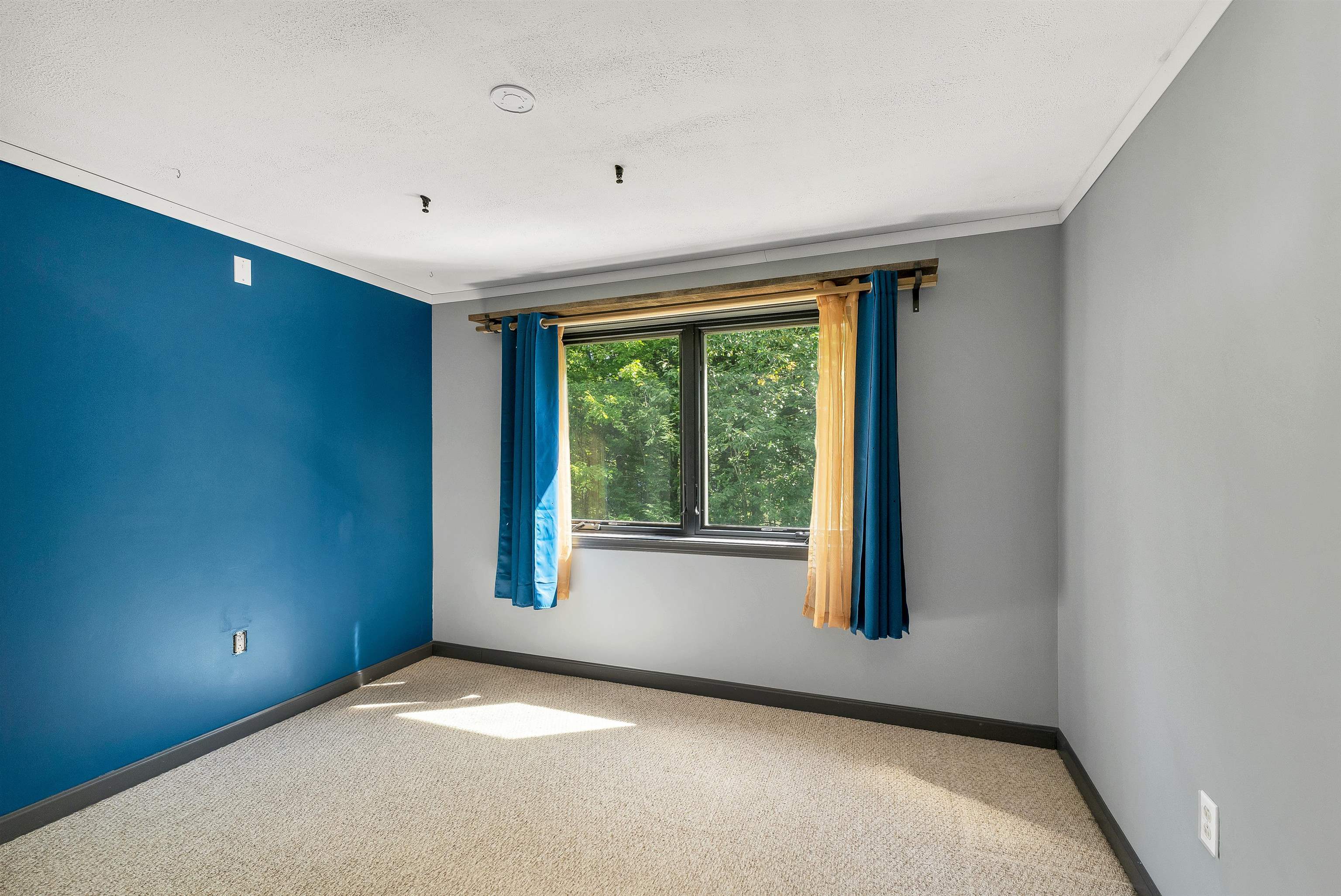 161 Abbot Hill Road Property Photo 30