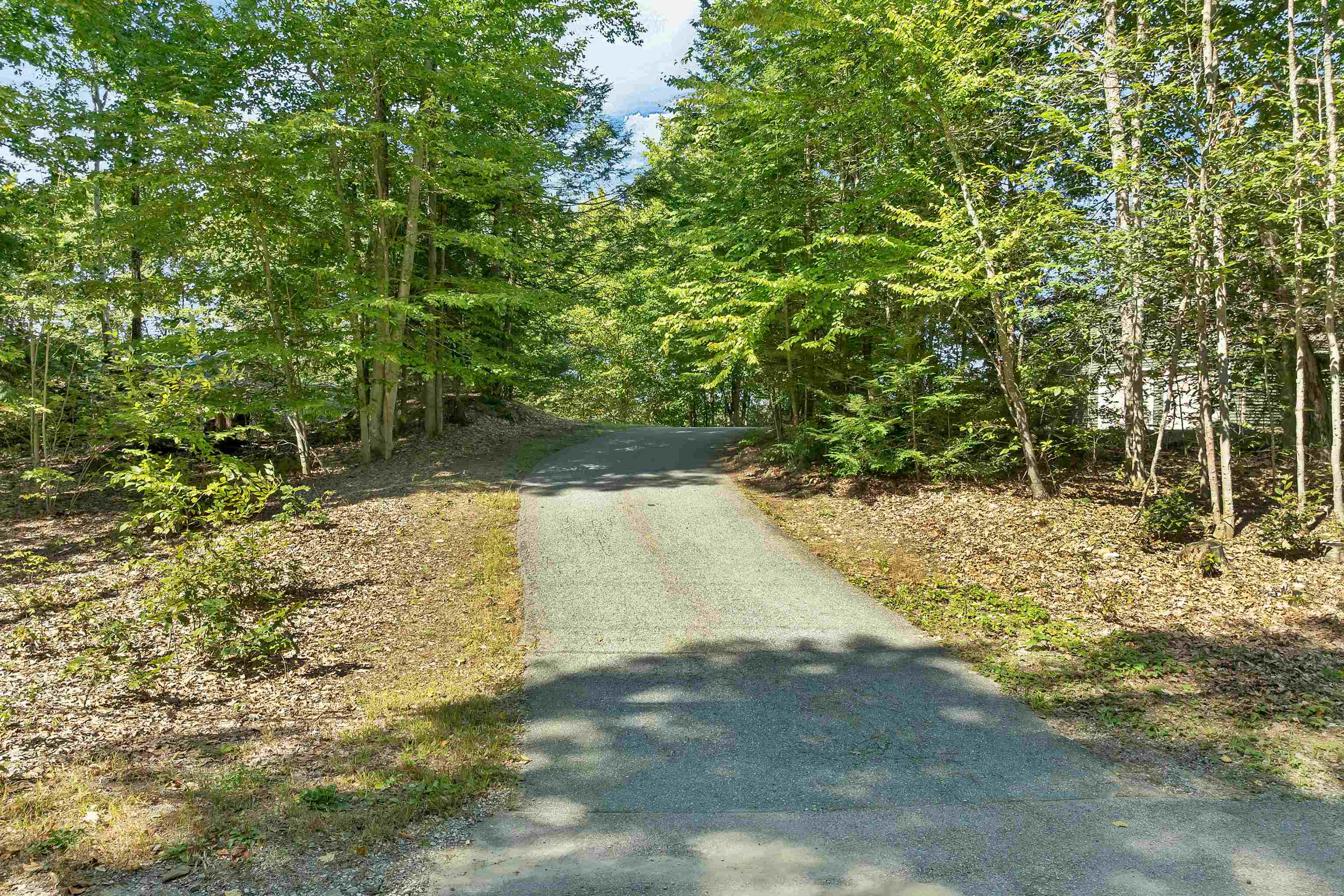 161 Abbot Hill Road Property Photo 45