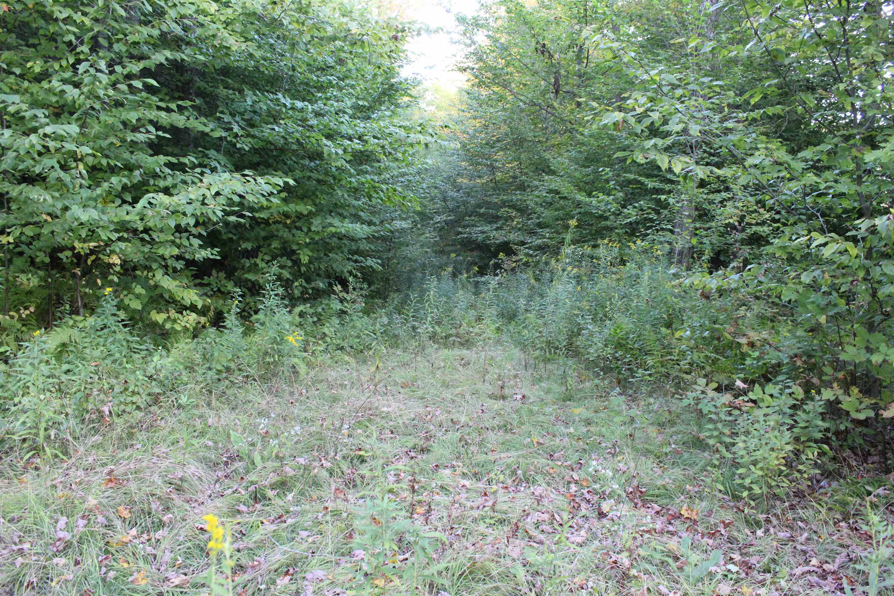 38 Johnson Hill Road Property Photo 2
