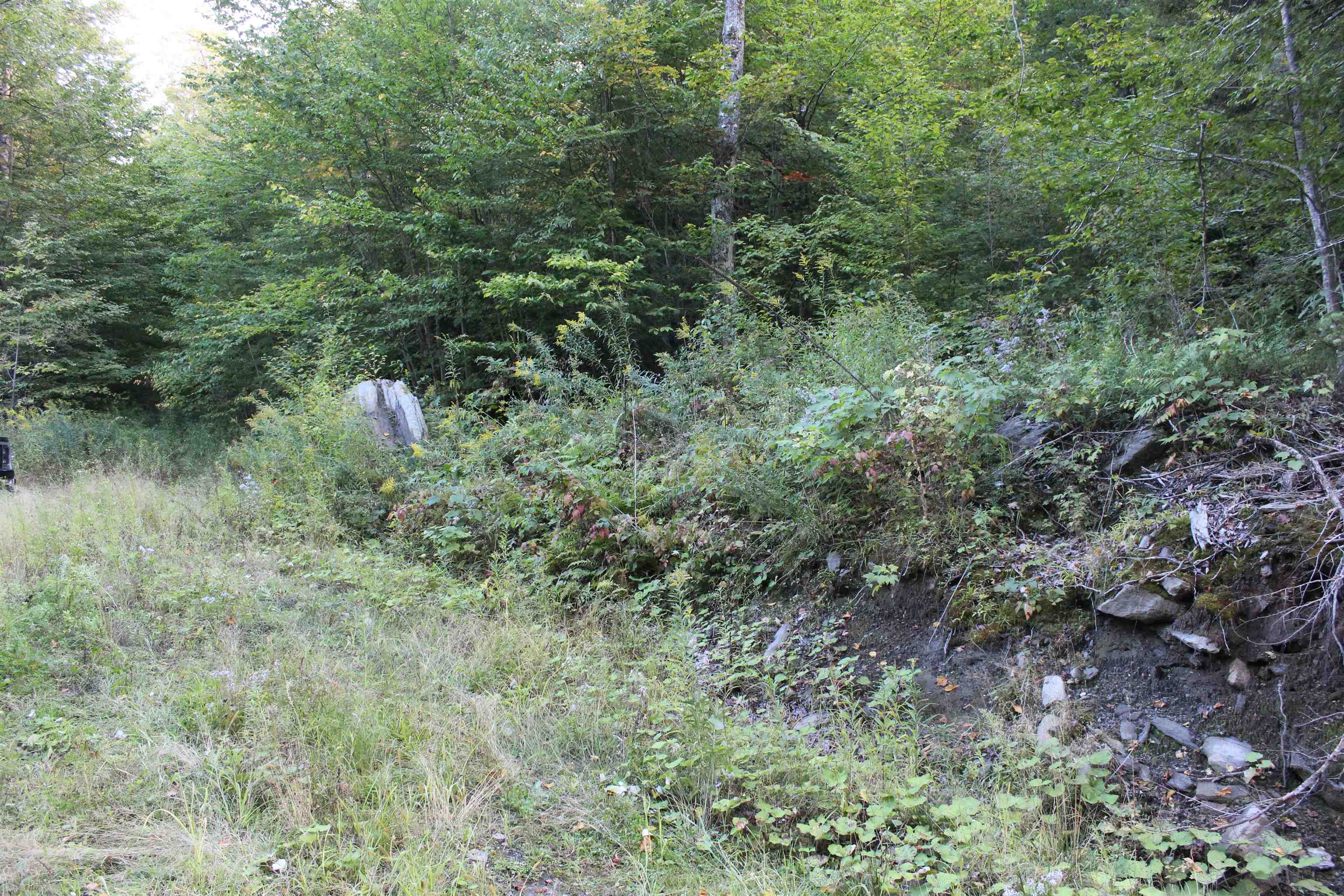 38 Johnson Hill Road Property Photo 5