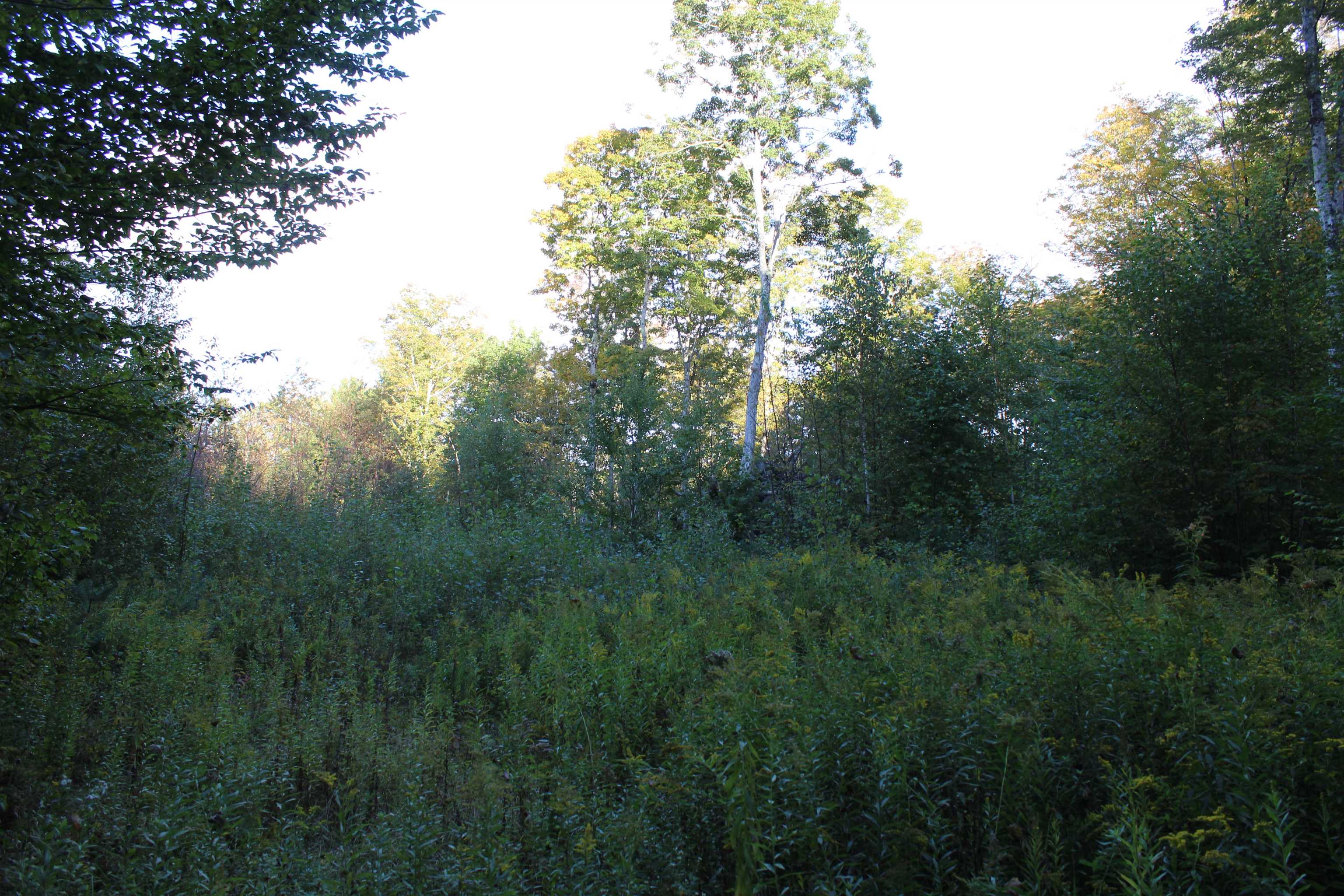 38 Johnson Hill Road Property Photo 13