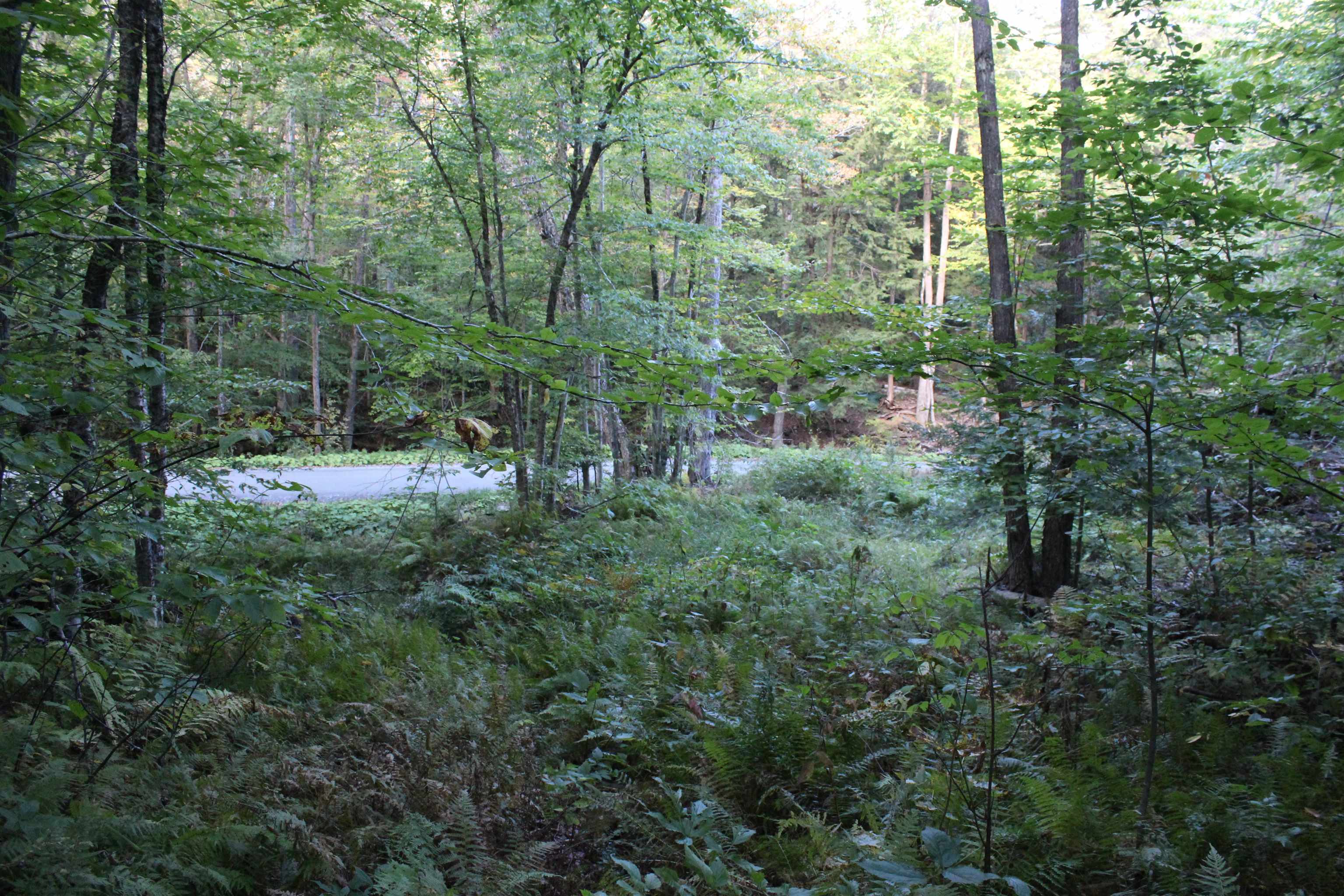 38 Johnson Hill Road Property Photo 15