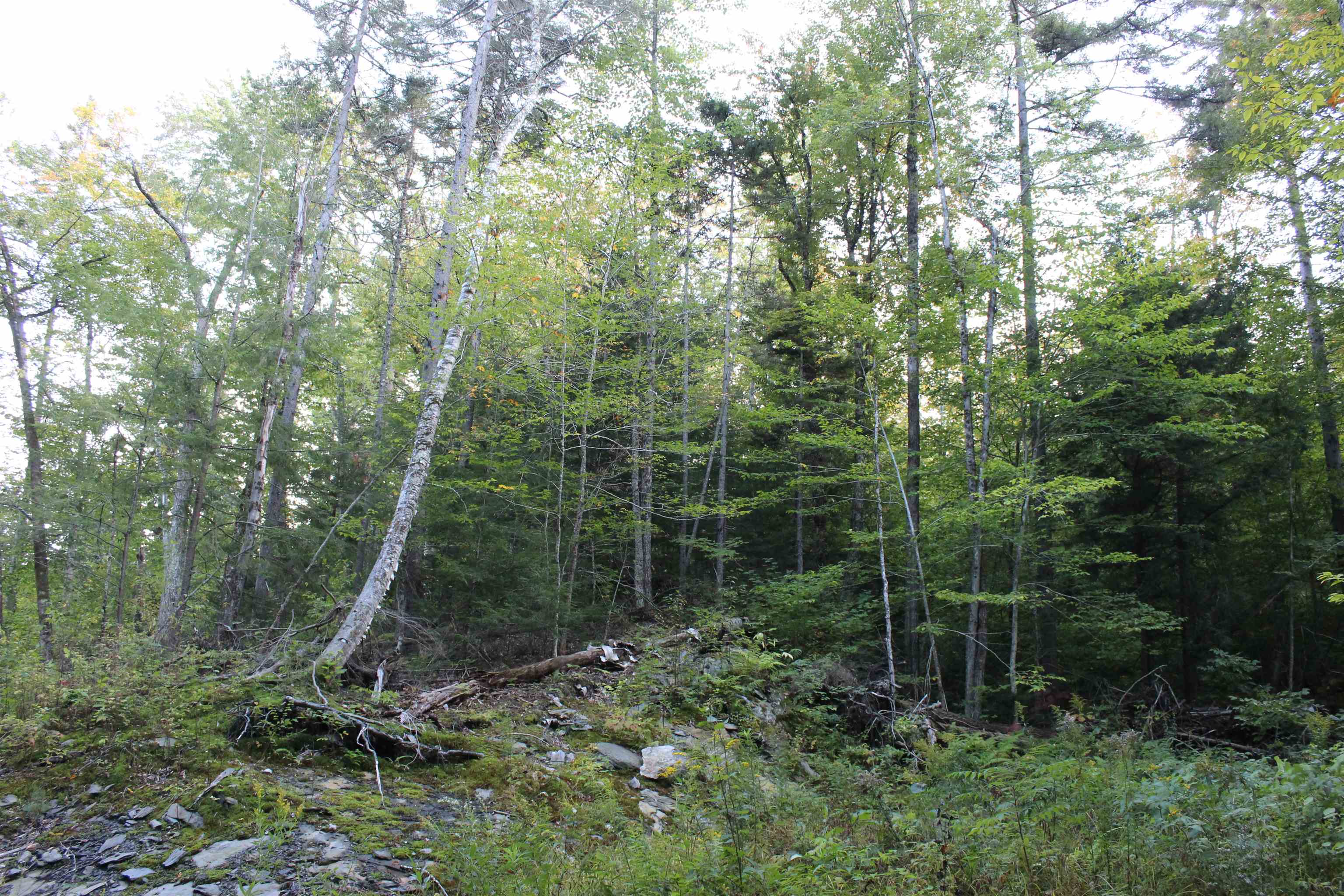 38 Johnson Hill Road Property Photo 18