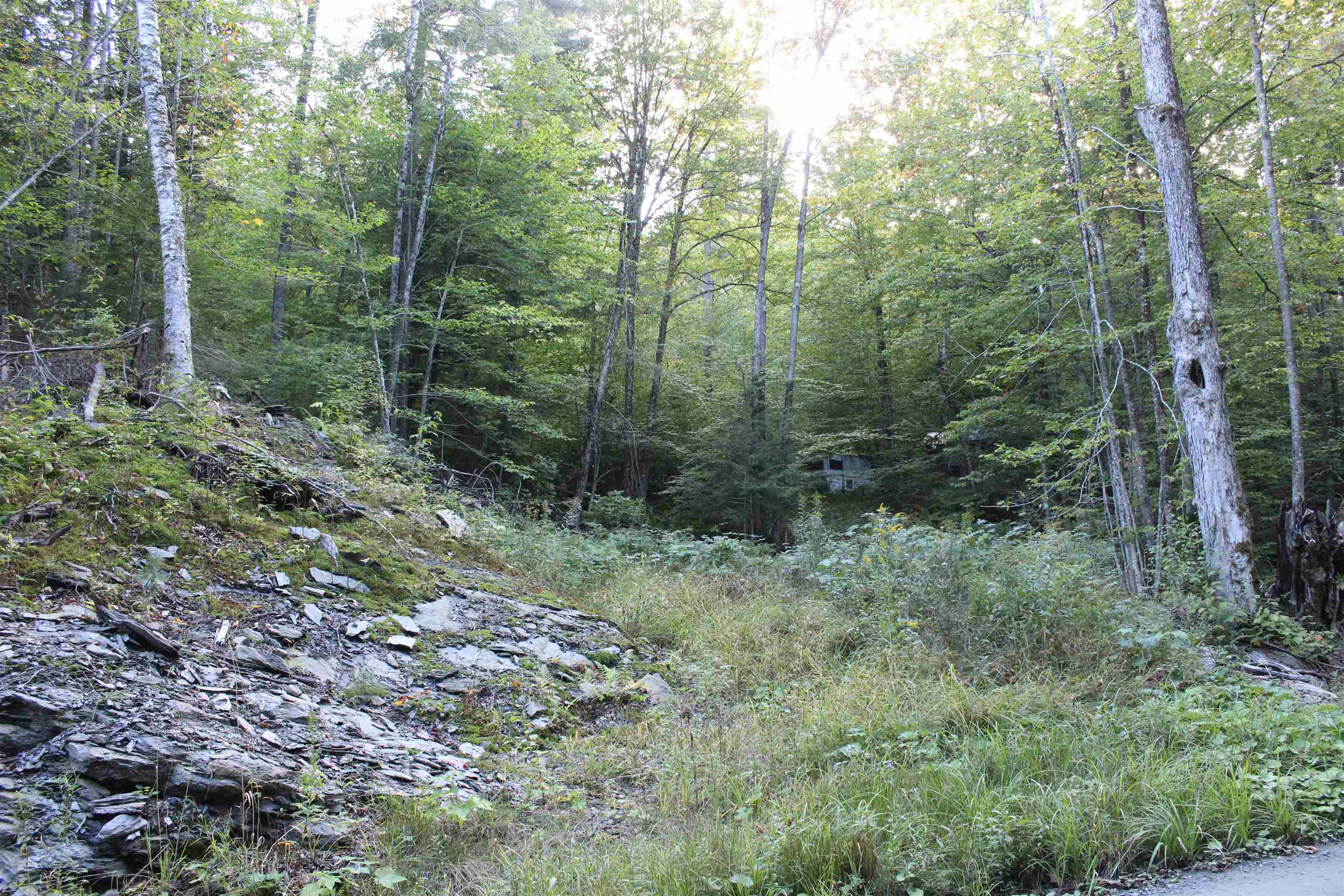 38 Johnson Hill Road Property Photo 19
