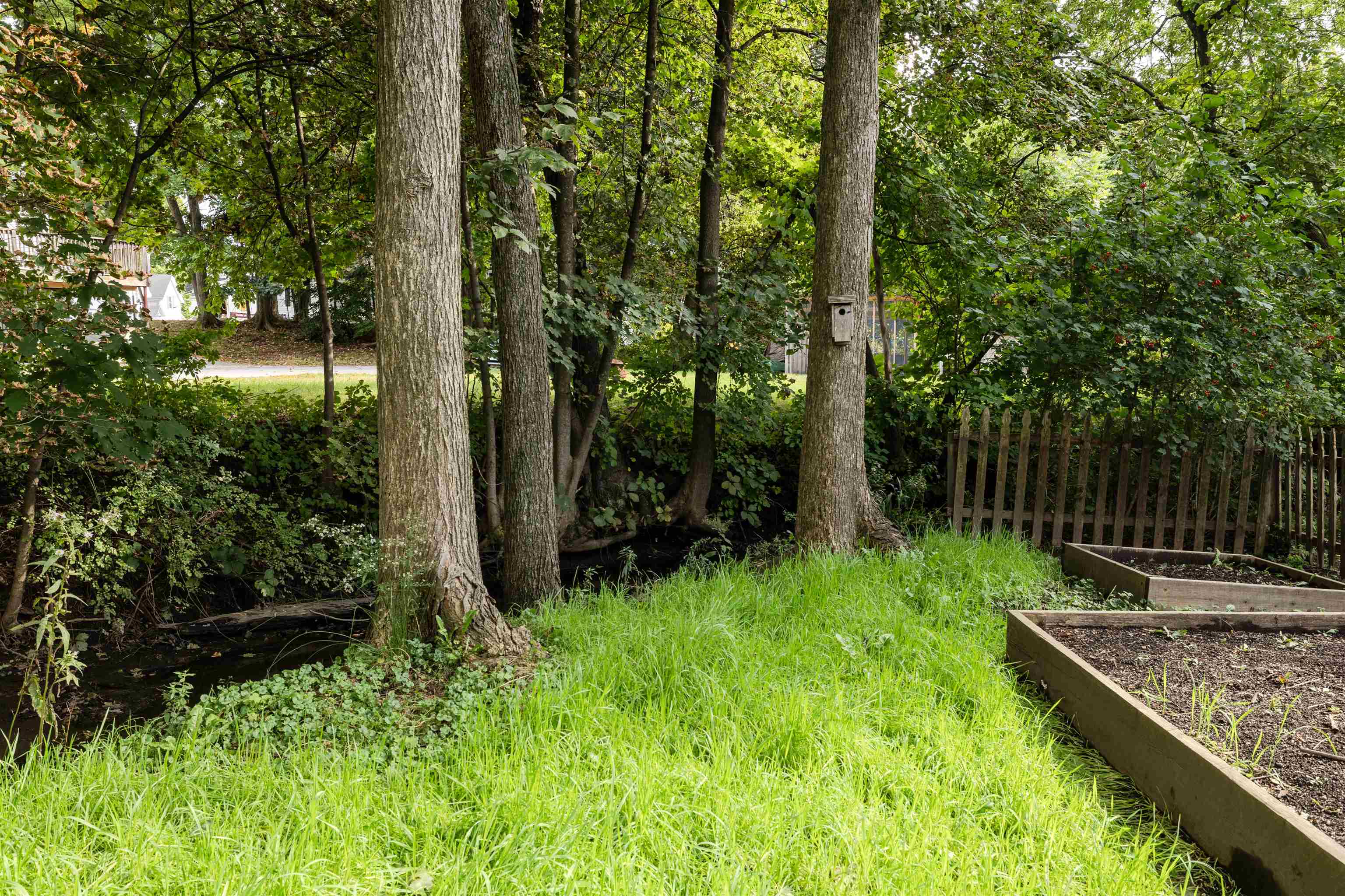 9 Noyes Street Property Photo 30