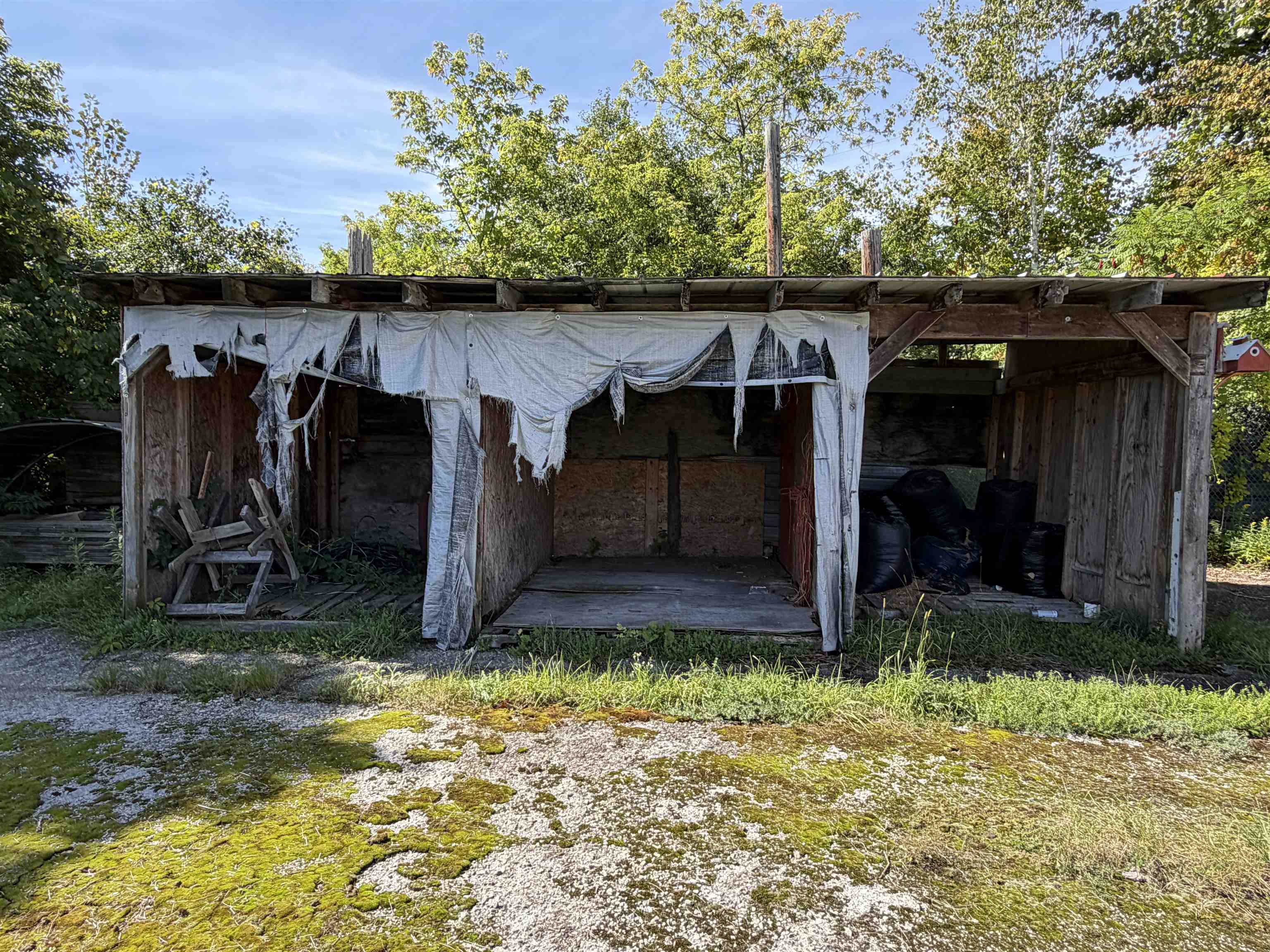 834 Creek Road Property Photo 19