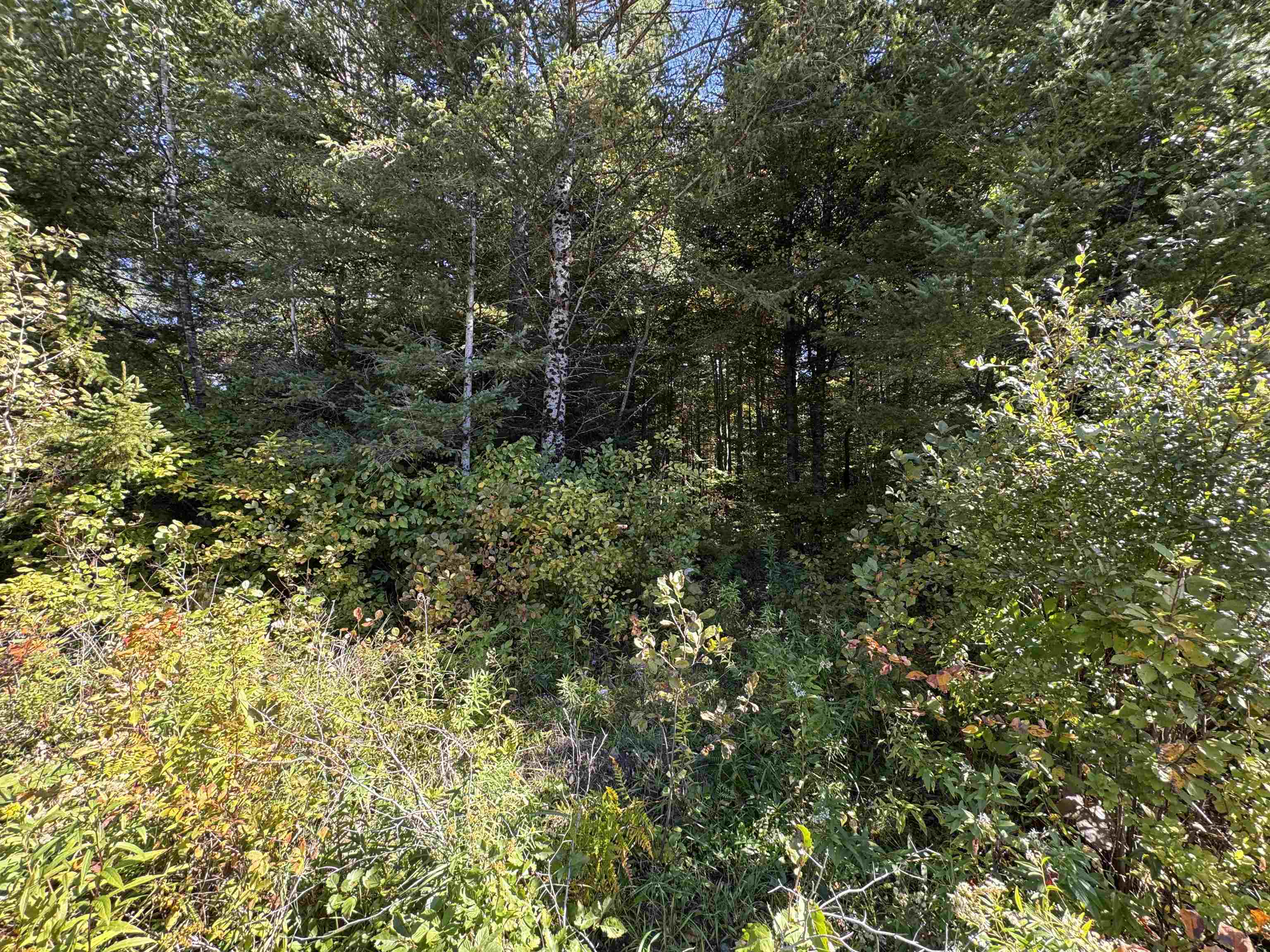 24 Marsh Road Property Photo 6