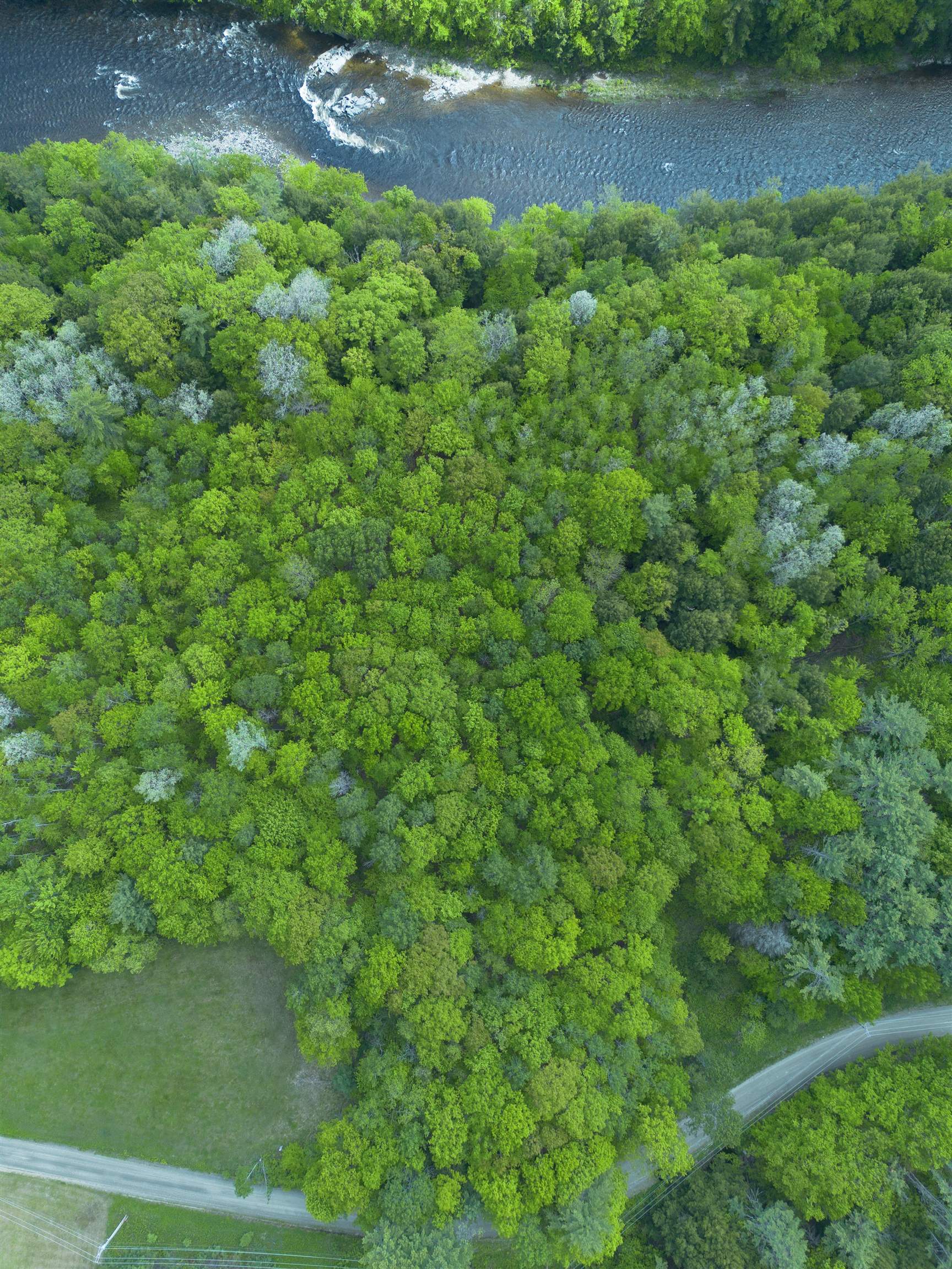 Map 17 Lot 33 River Road Property Photo 9