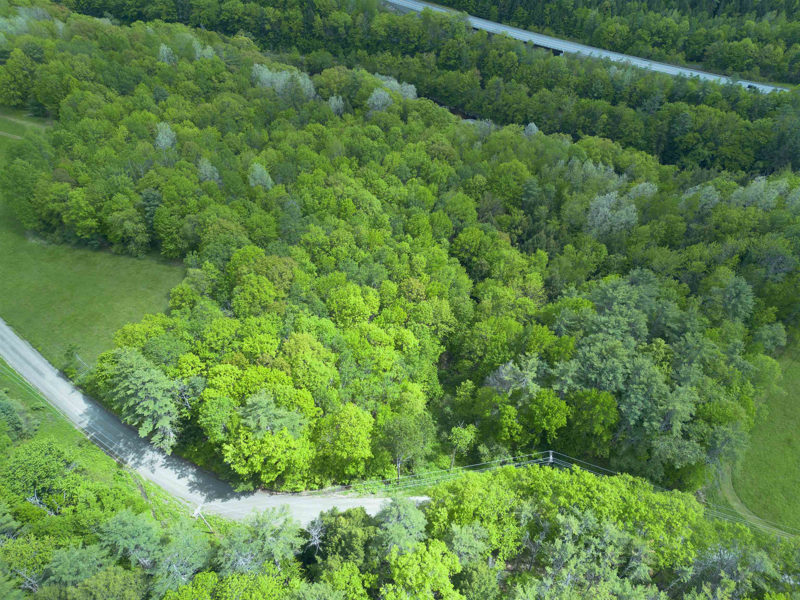 Map 17 Lot 33 River Road Property Photo 12