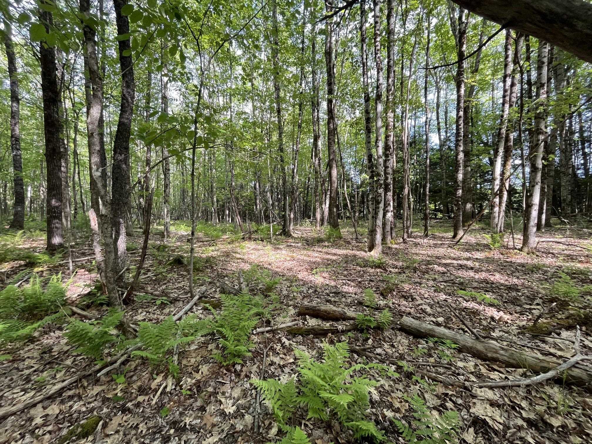 Map 17 Lot 33 River Road Property Photo 17