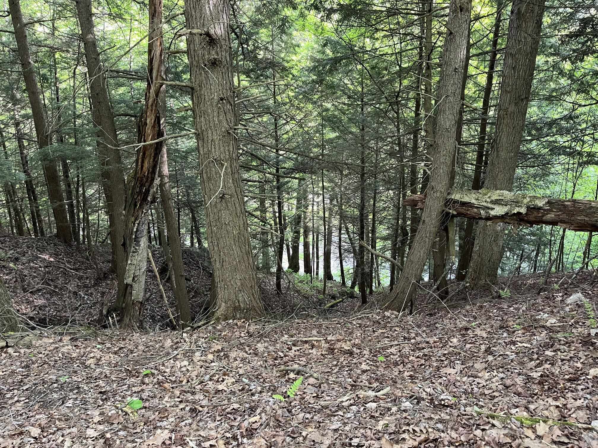 Map 17 Lot 33 River Road Property Photo 18