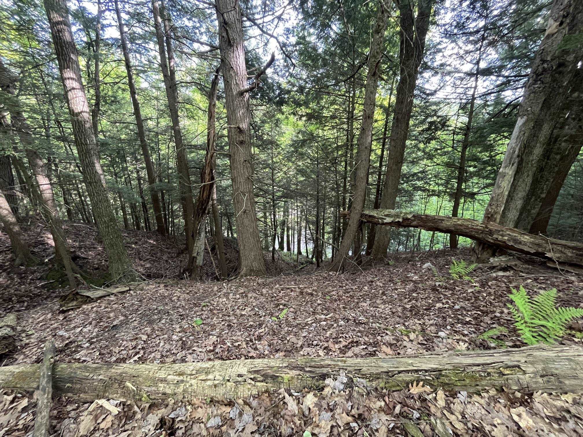 Map 17 Lot 33 River Road Property Photo 19