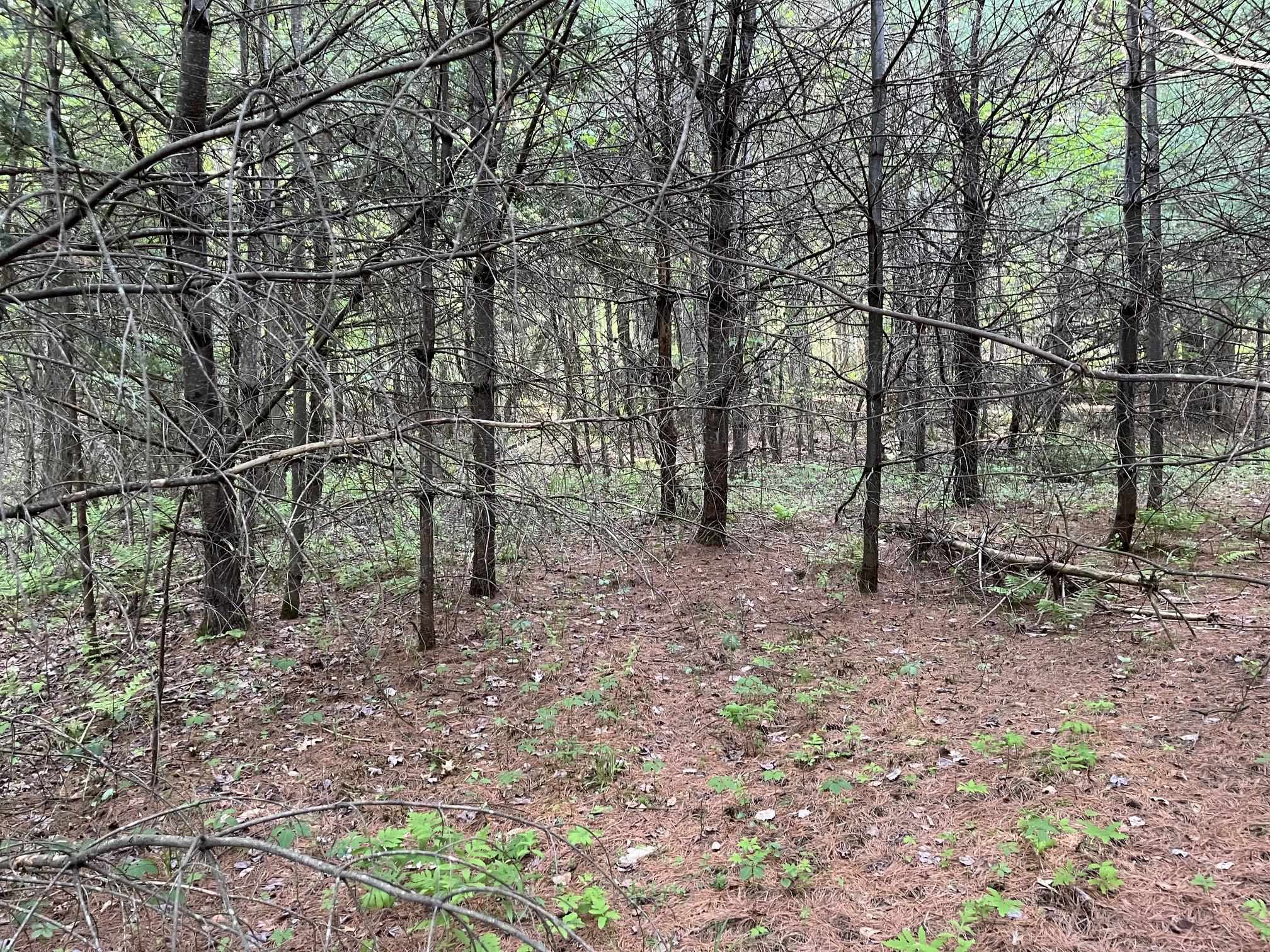 Map 17 Lot 33 River Road Property Photo 22