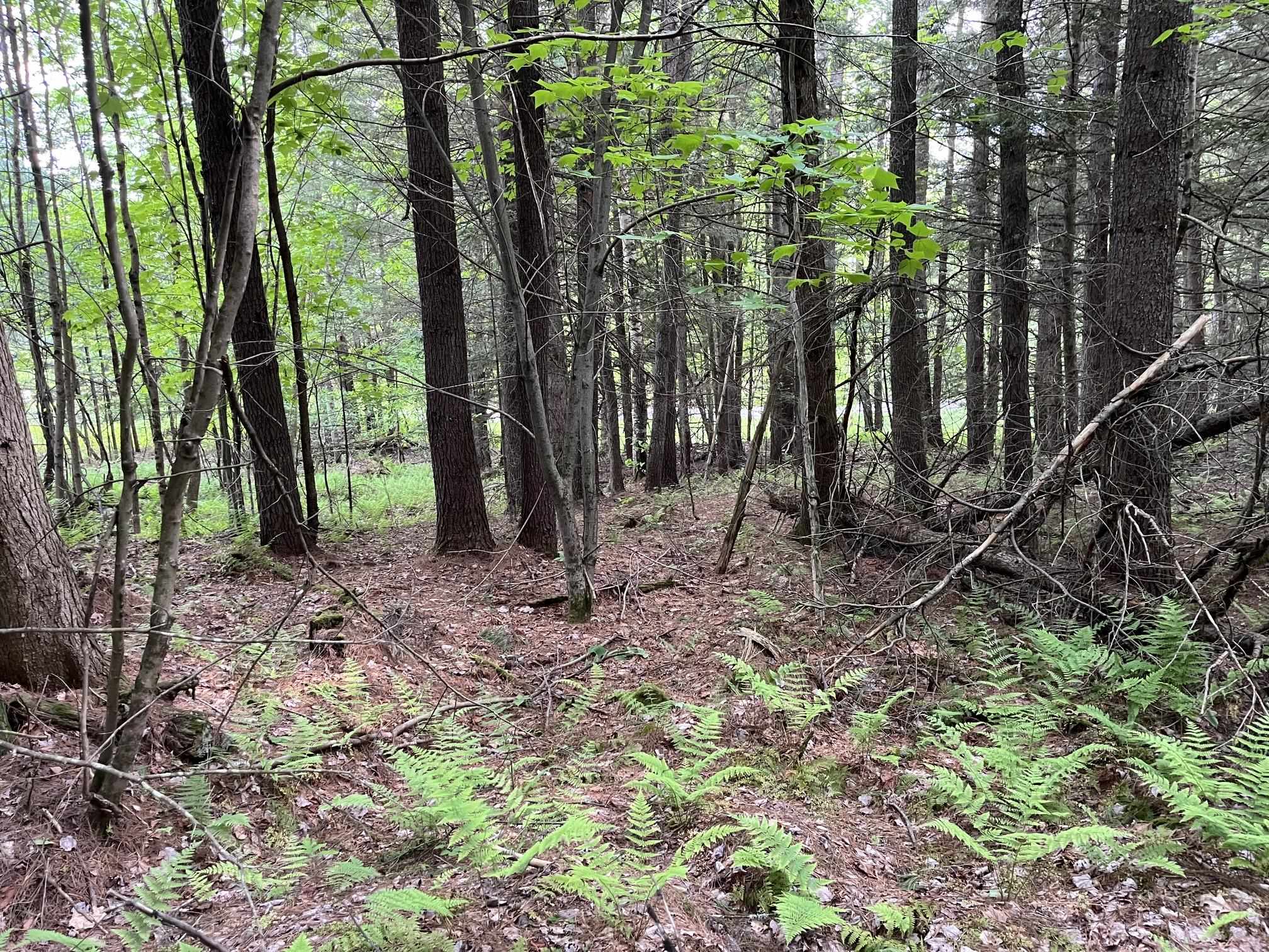 Map 17 Lot 33 River Road Property Photo 23