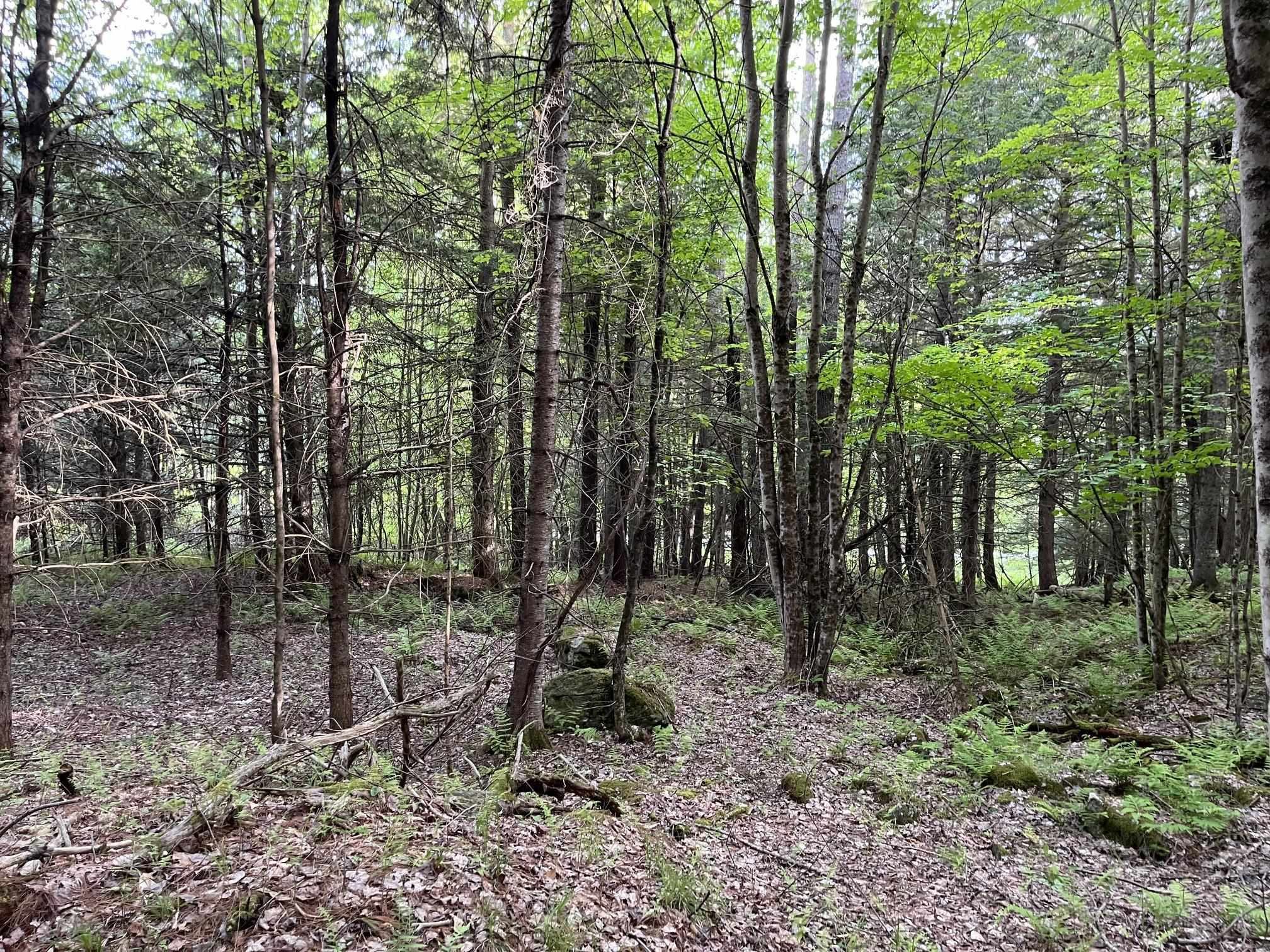 Map 17 Lot 33 River Road Property Photo 25