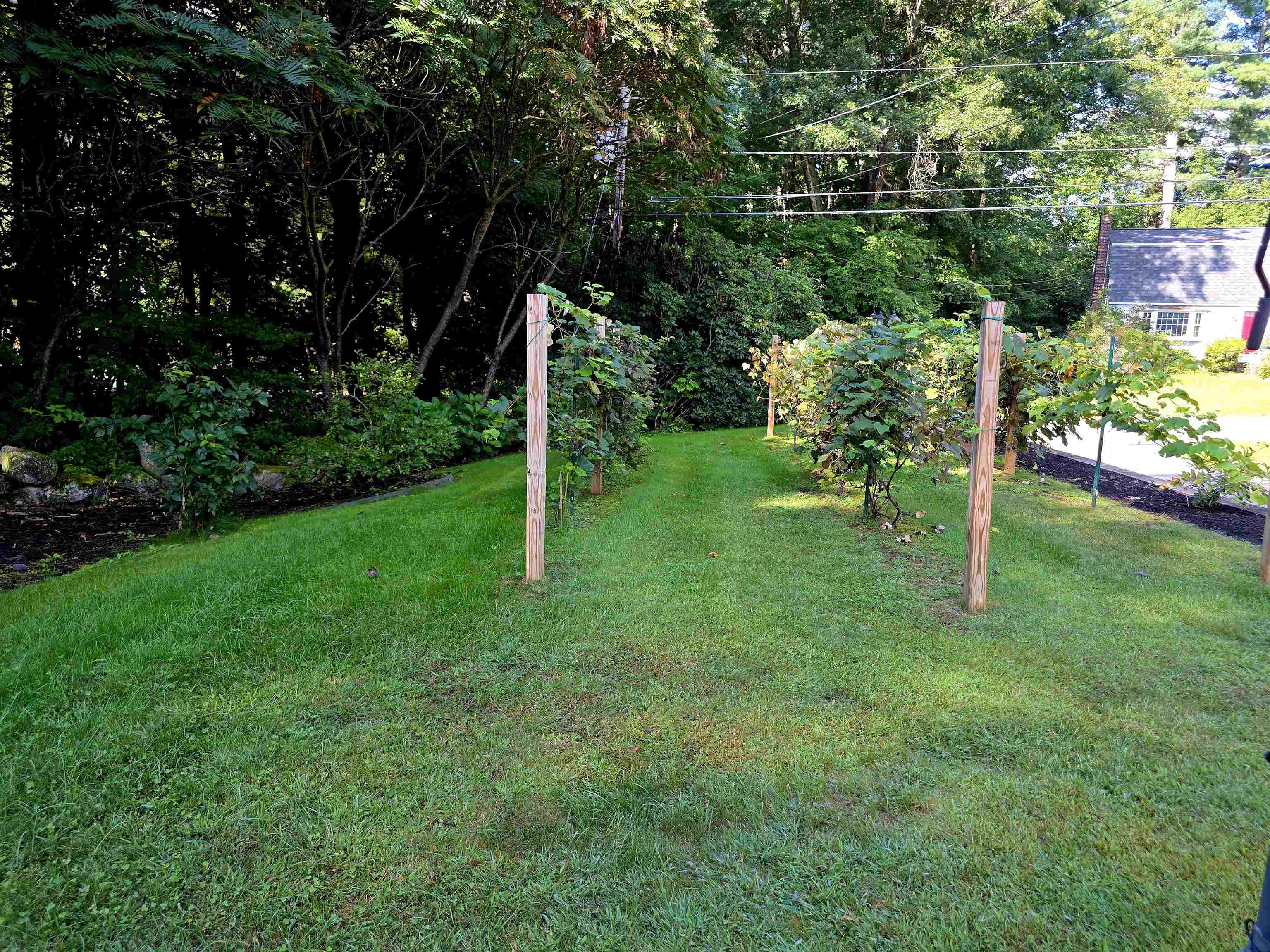 5 Pettingale Road Property Photo 39