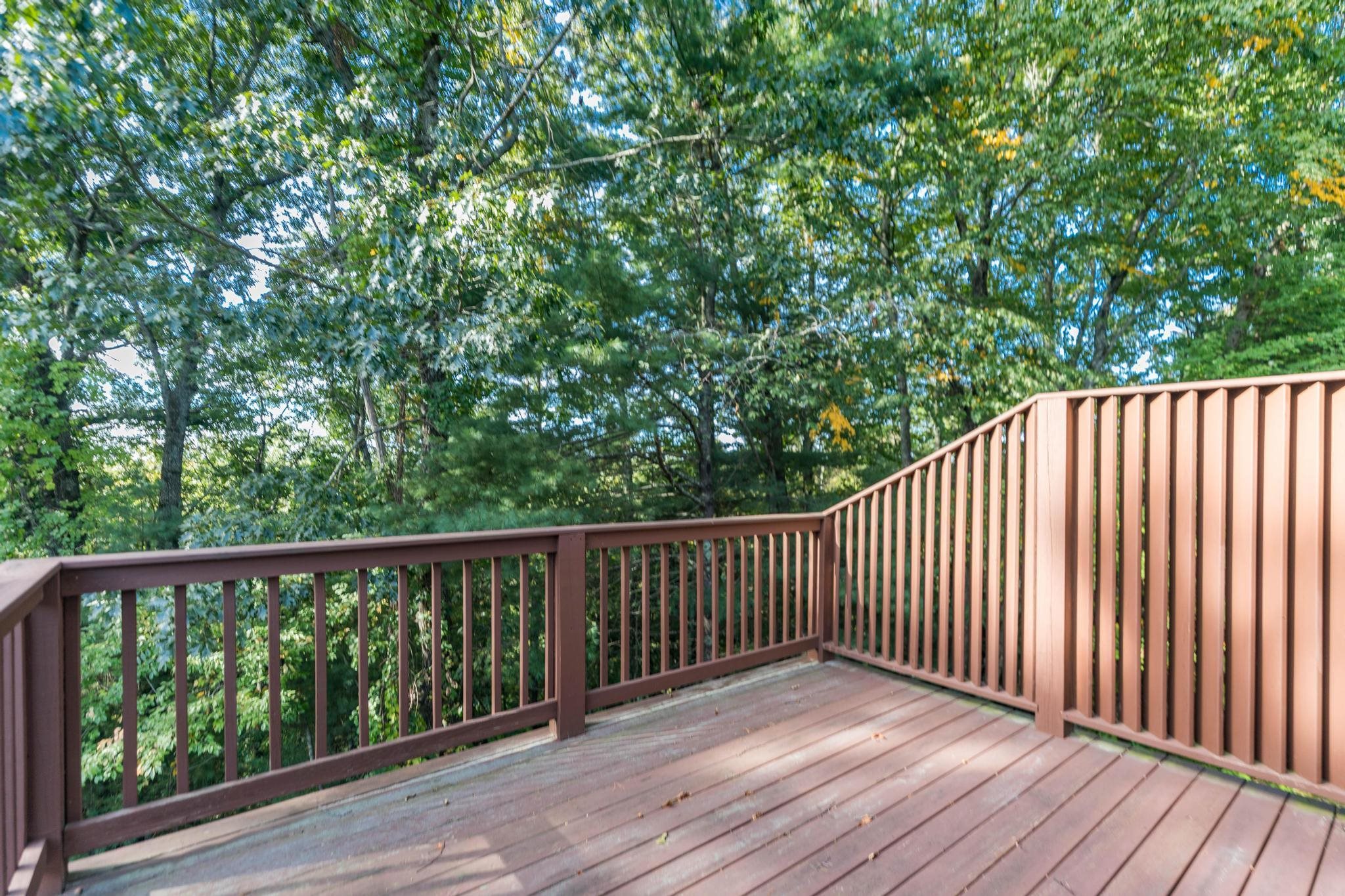 59 Thornhill Road Property Photo 7