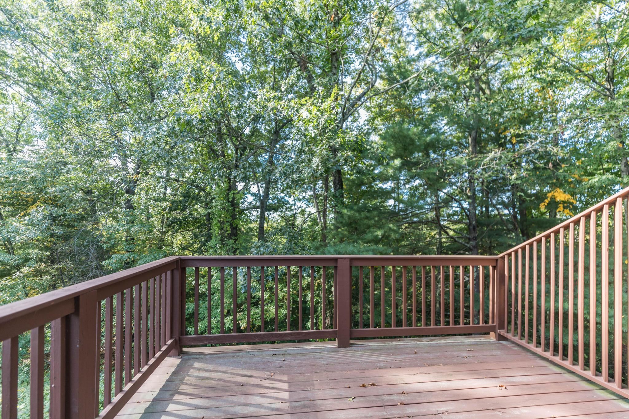 59 Thornhill Road Property Photo 8