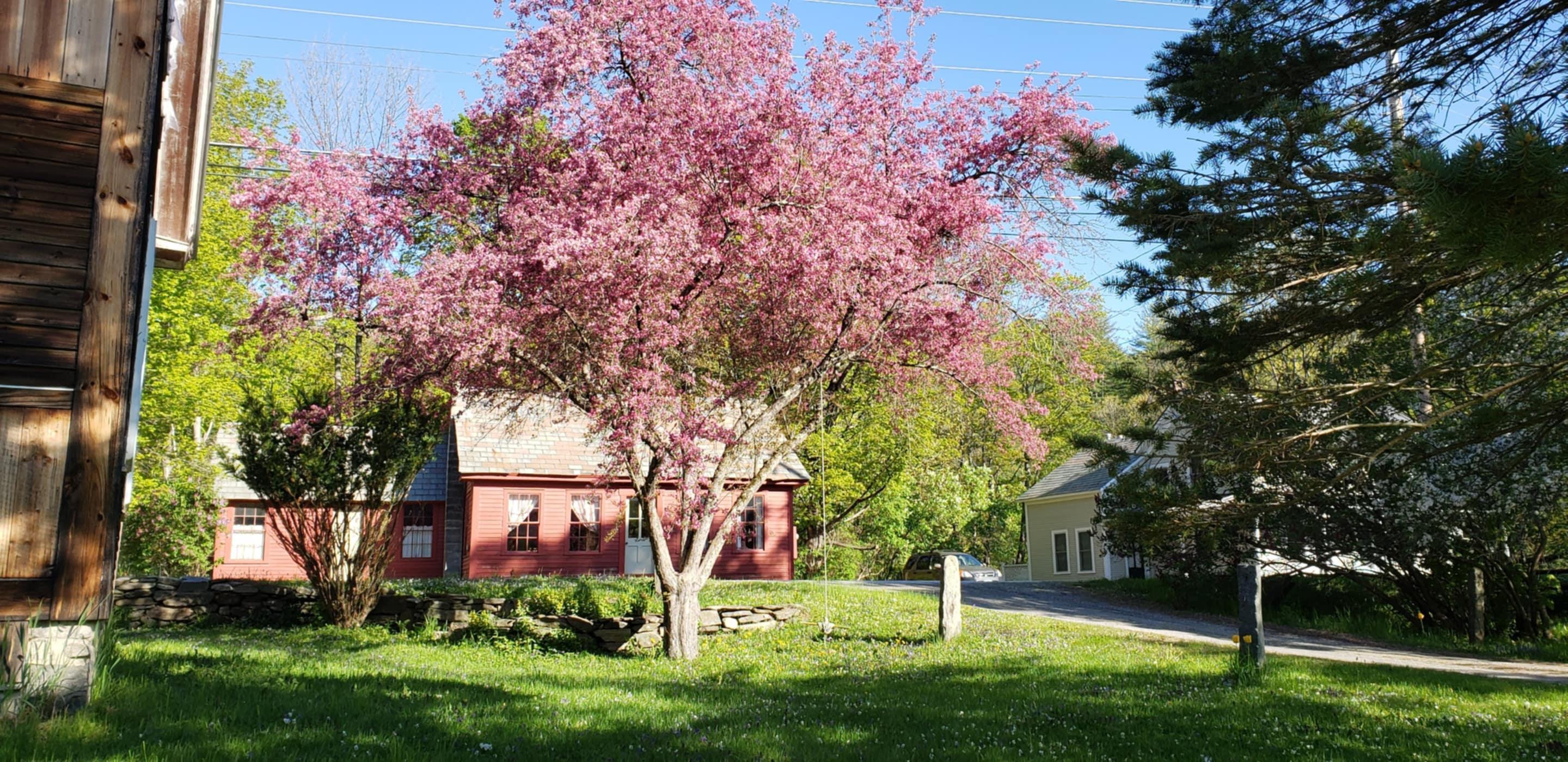72 Depot Street Property Photo 1