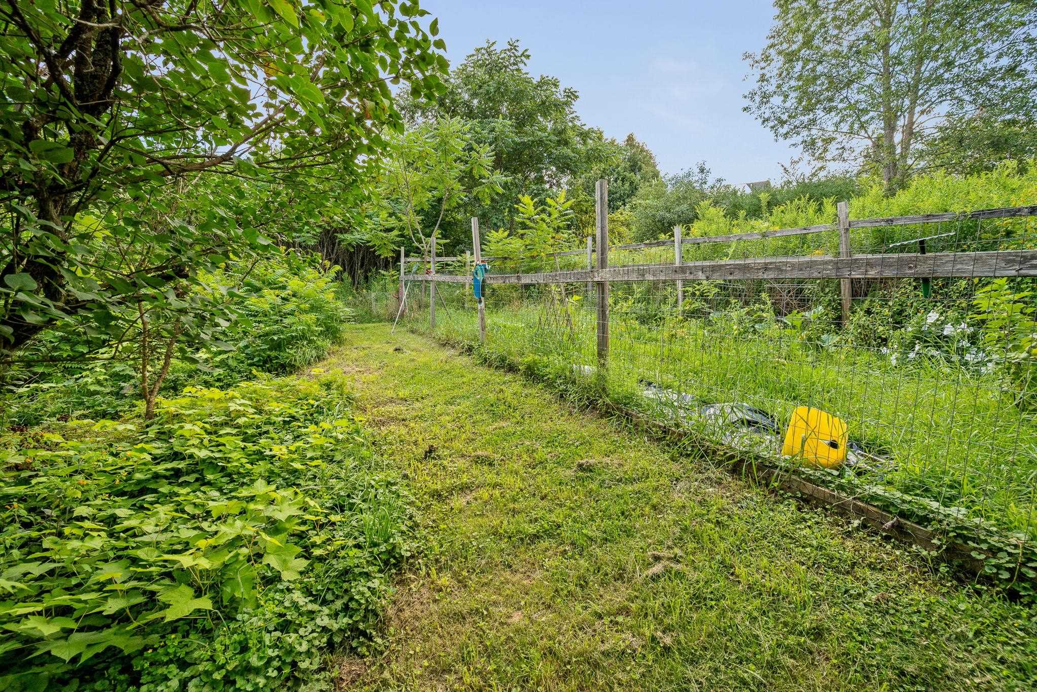 10 Kynoch Avenue Property Photo 47
