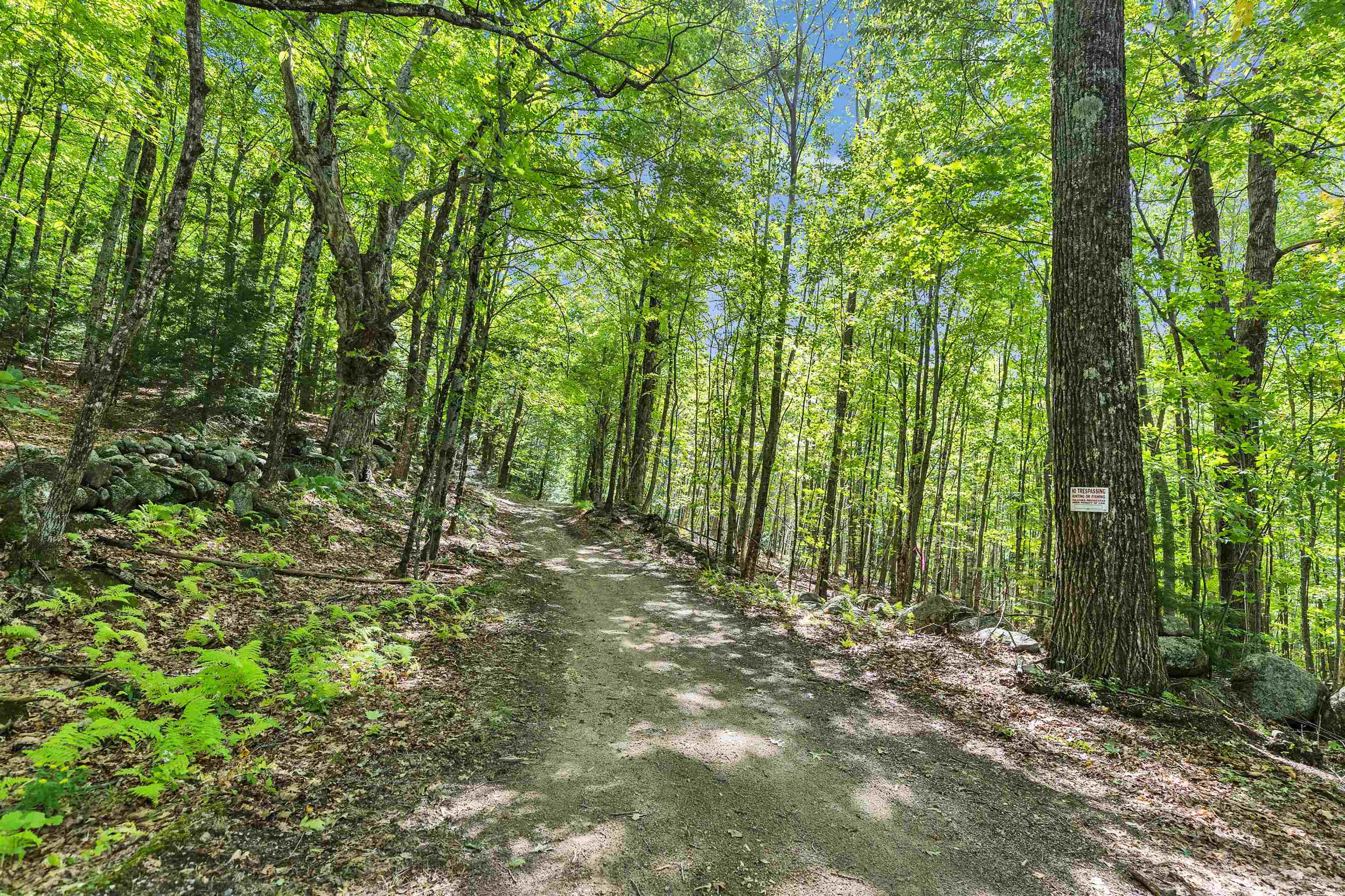 00 Coach Road Property Photo 6
