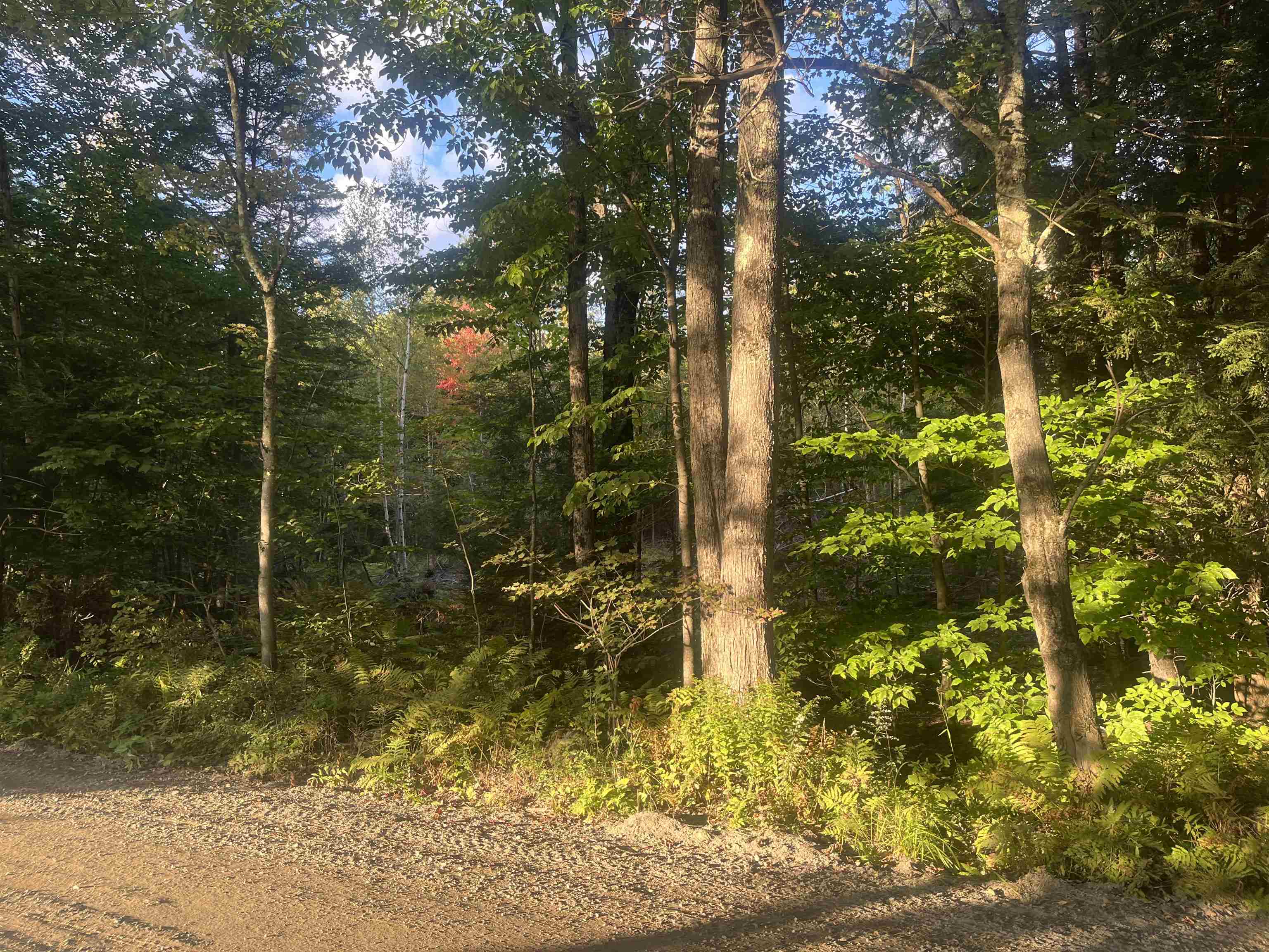 Lot 3 Clif Reynolds Road Property Photo 2