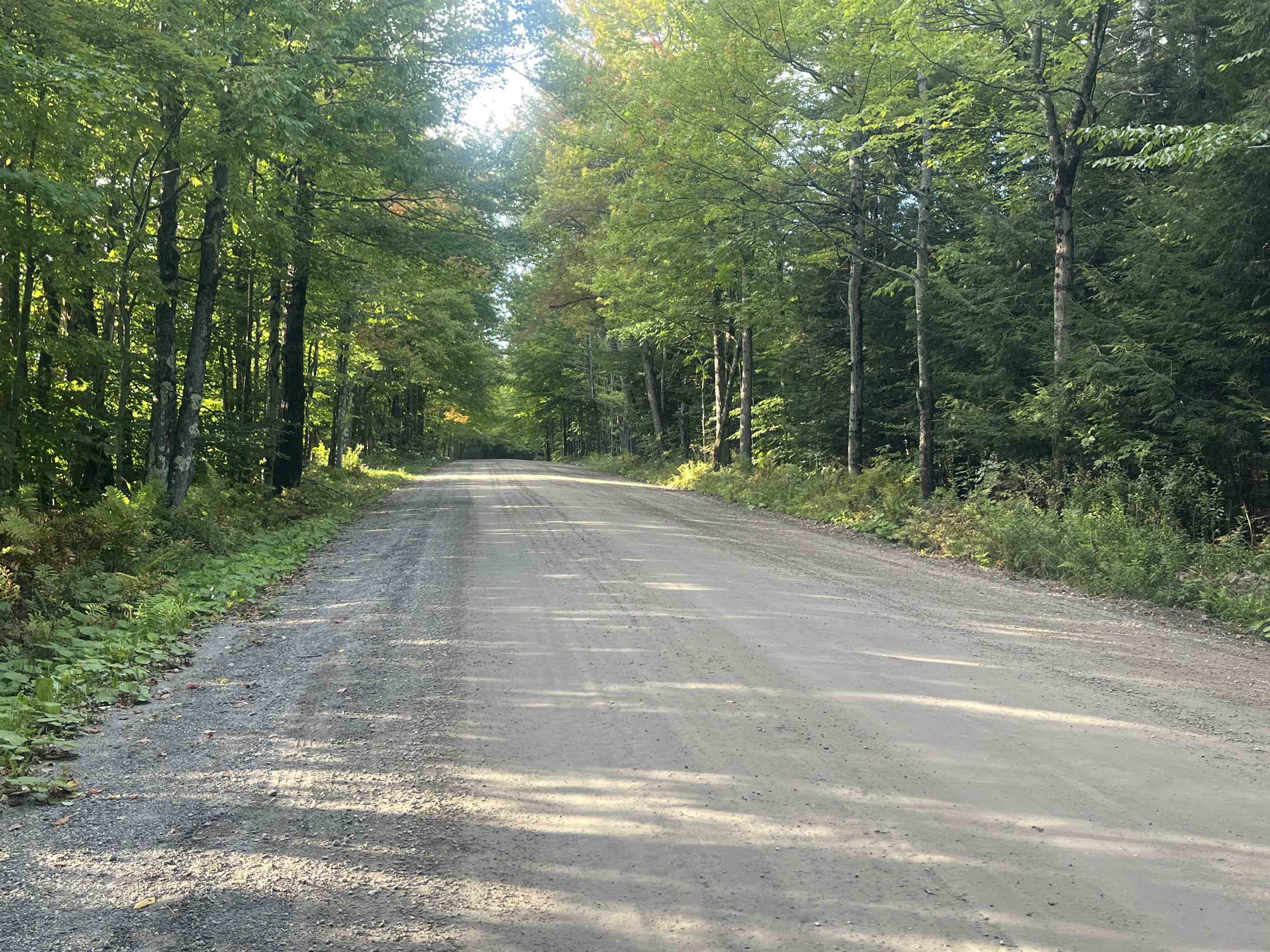 Lot 3 Clif Reynolds Road Property Photo 4